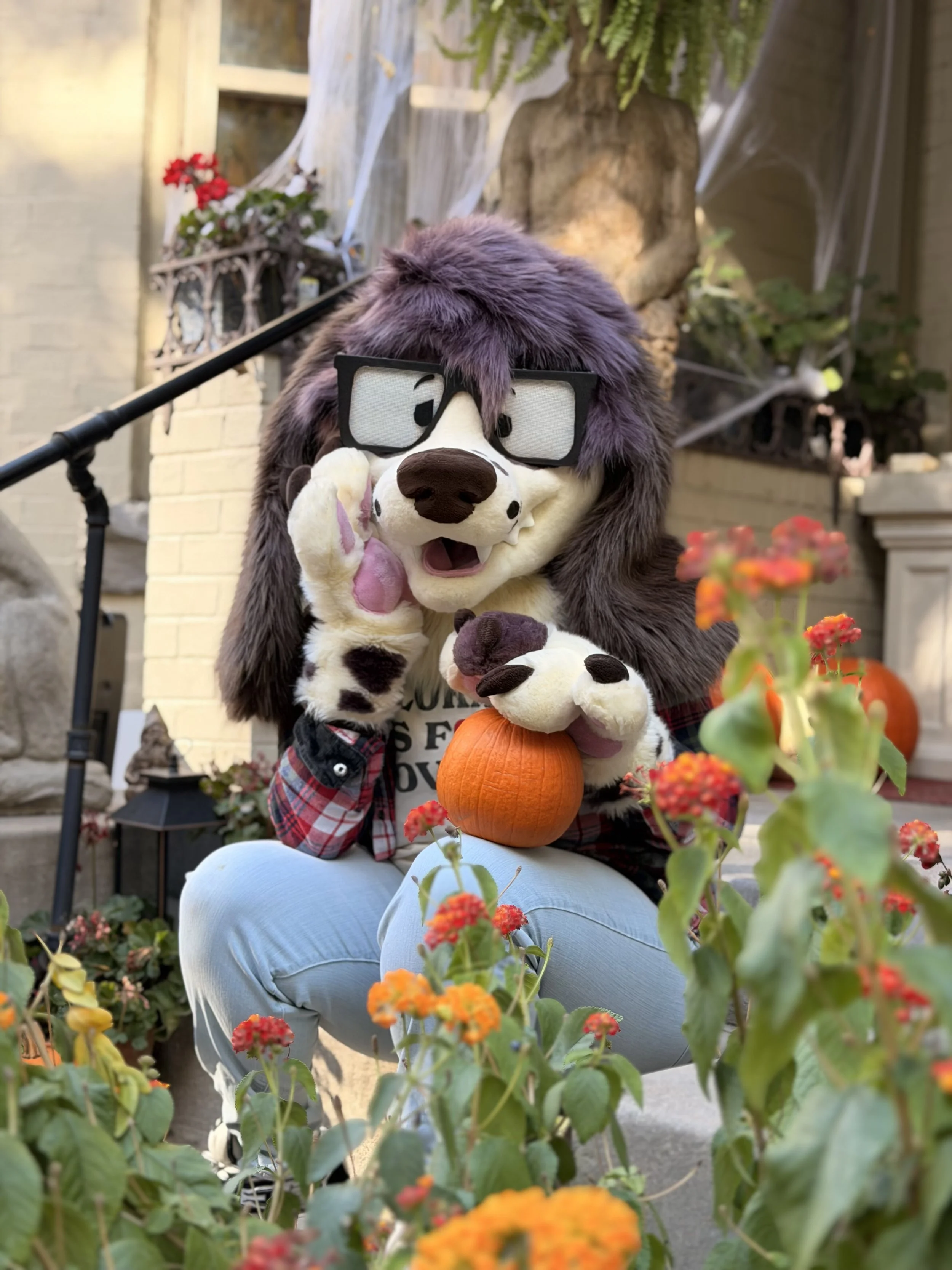 Paws by WildCatCostumes
