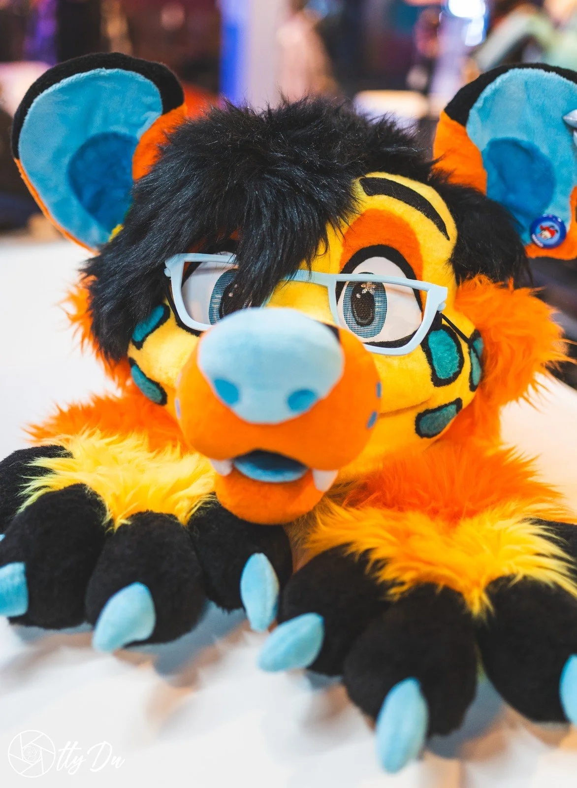 Paws by FurFettiClub