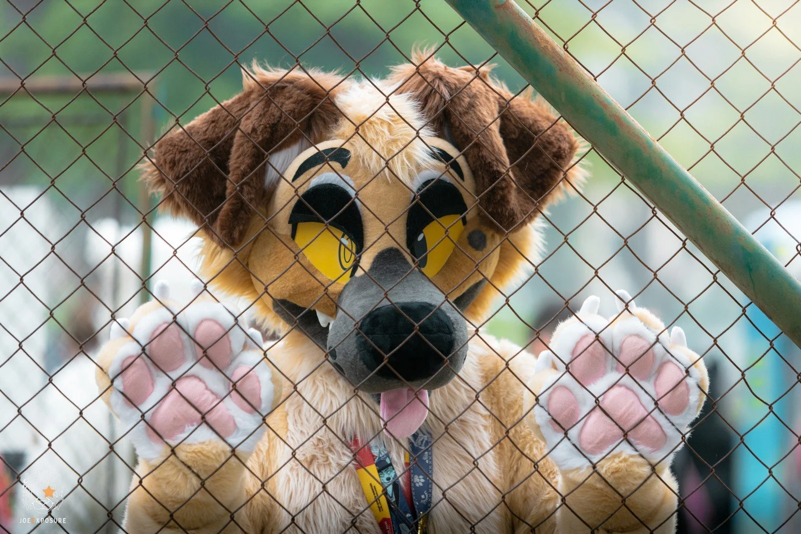Dahgoo in a Cage.jpg