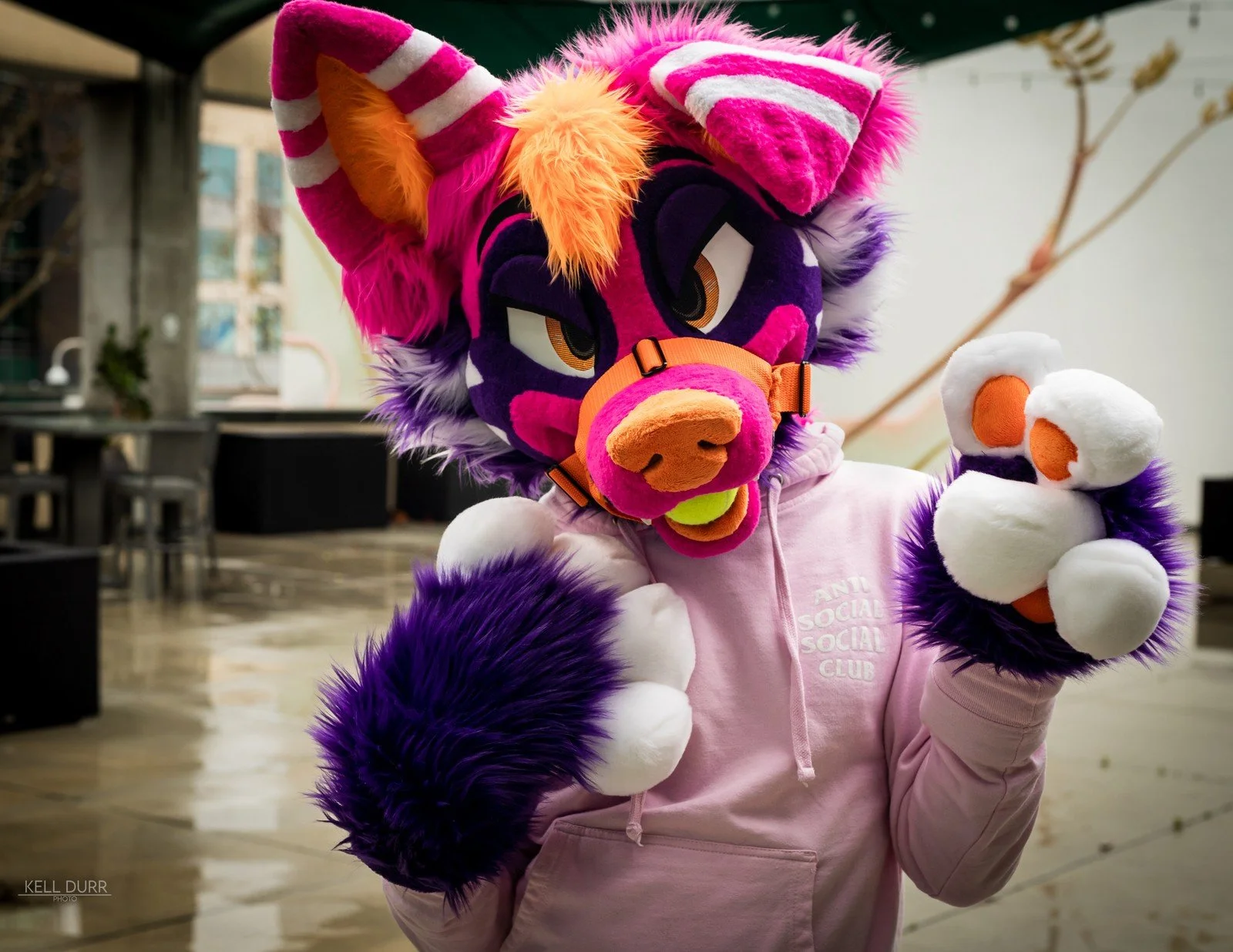 Paws by WildCatCostumes