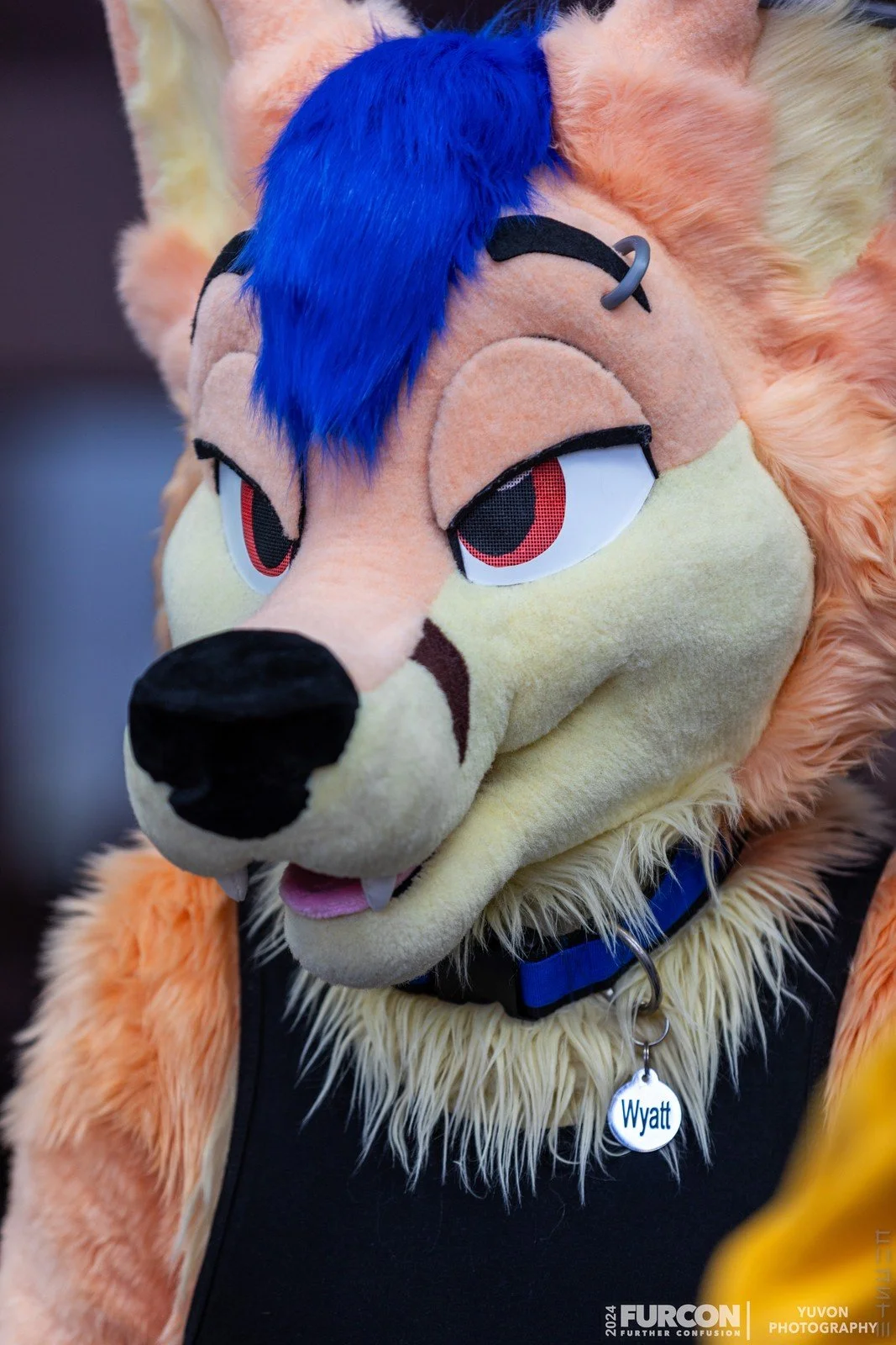 Wyatt... Sheesh.jpg