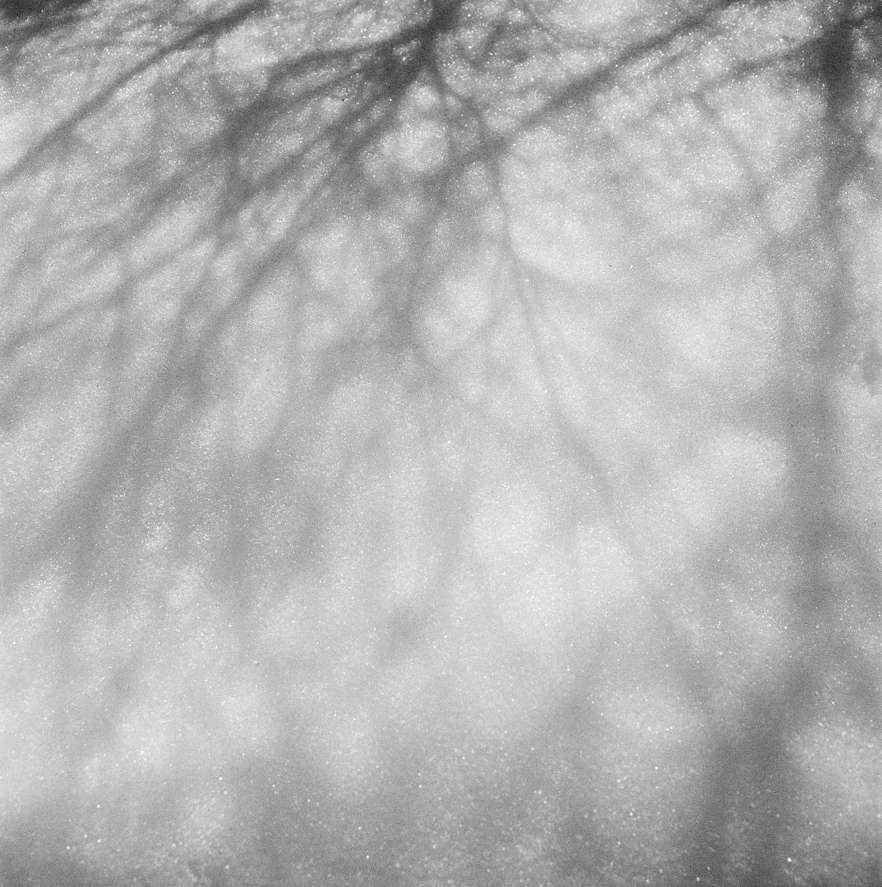 jq_scans2.17_8.2-Edit.jpg