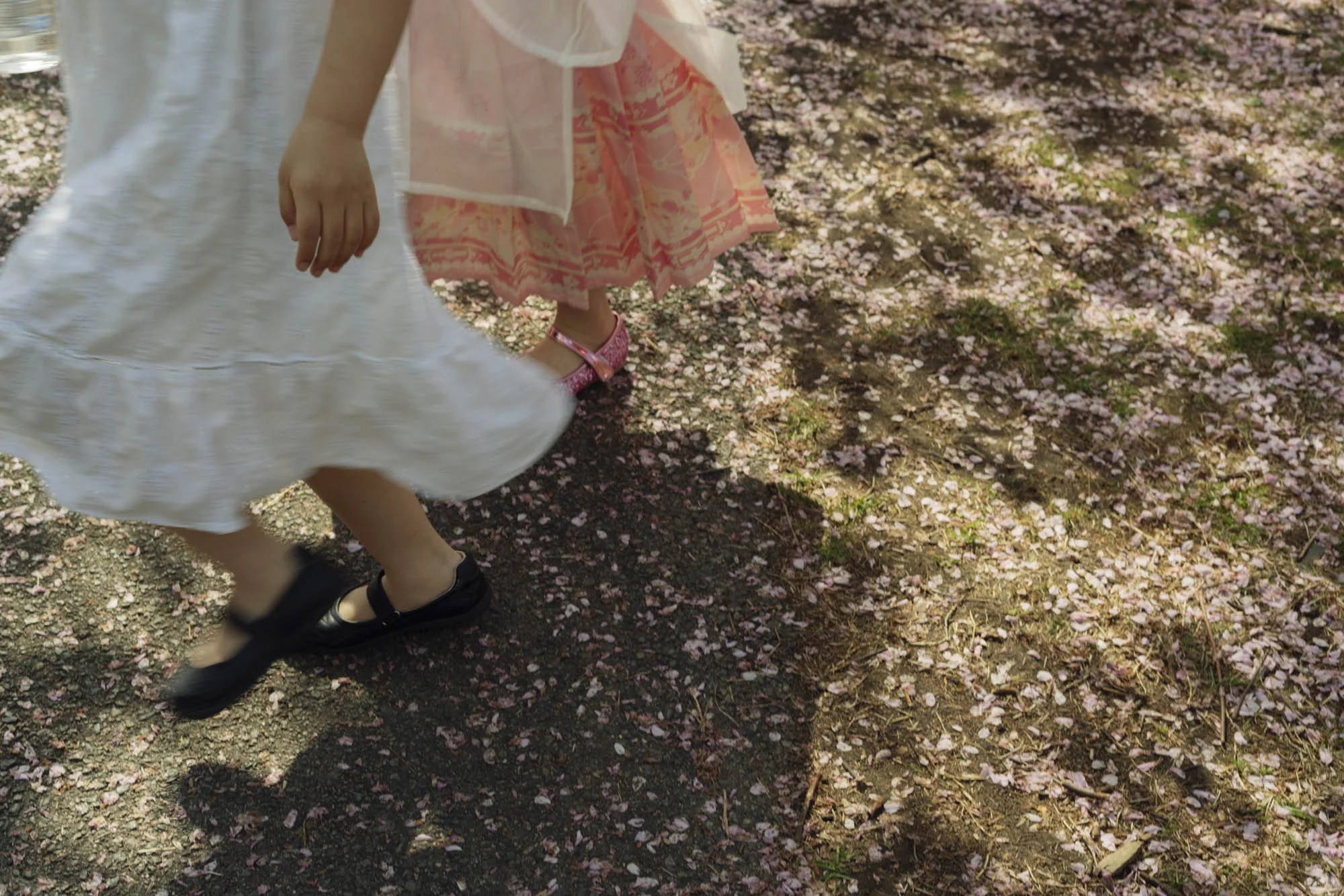 Promise Me You Know How to Cry for a Stranger