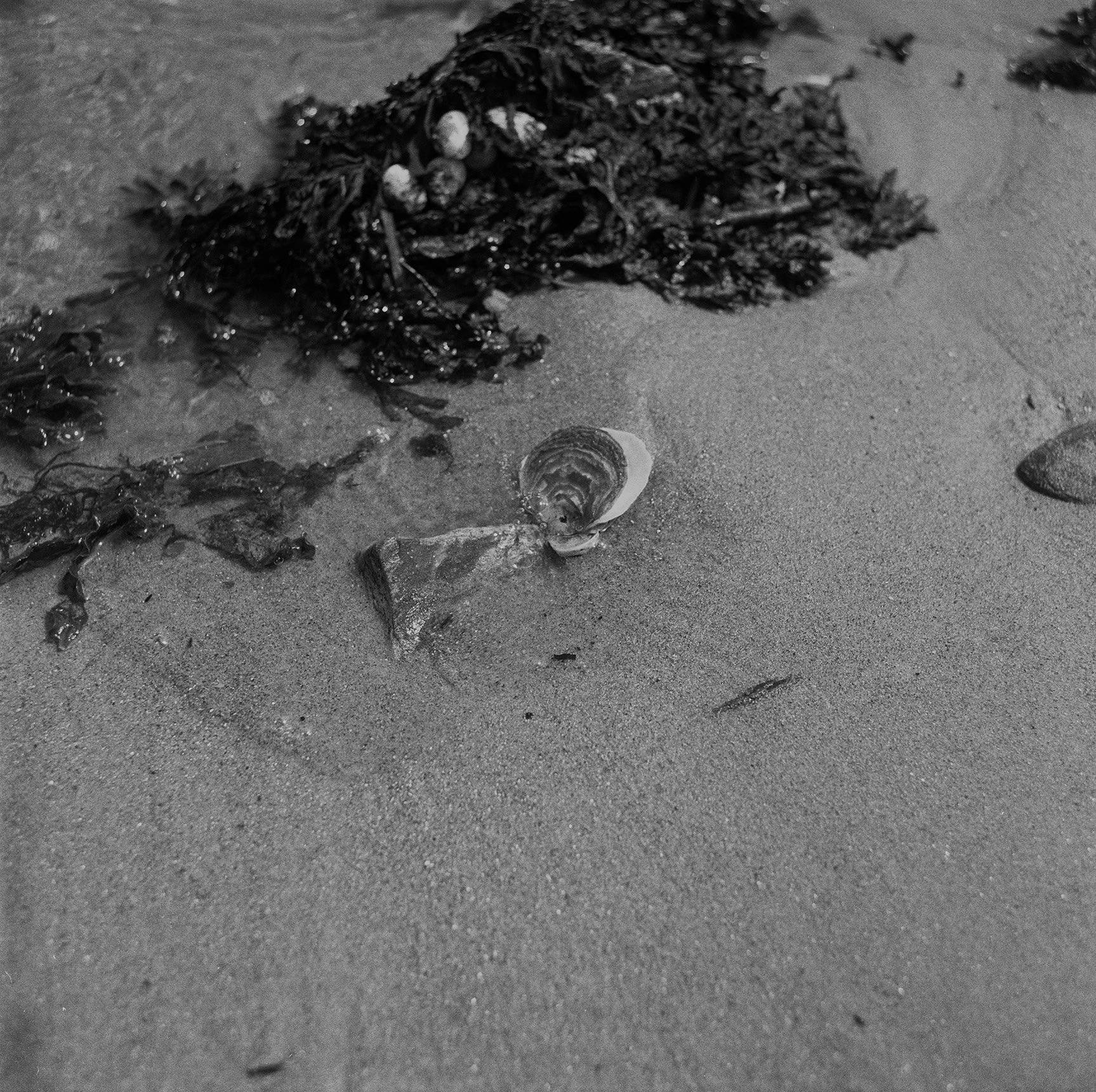 final scan 12 001.jpg