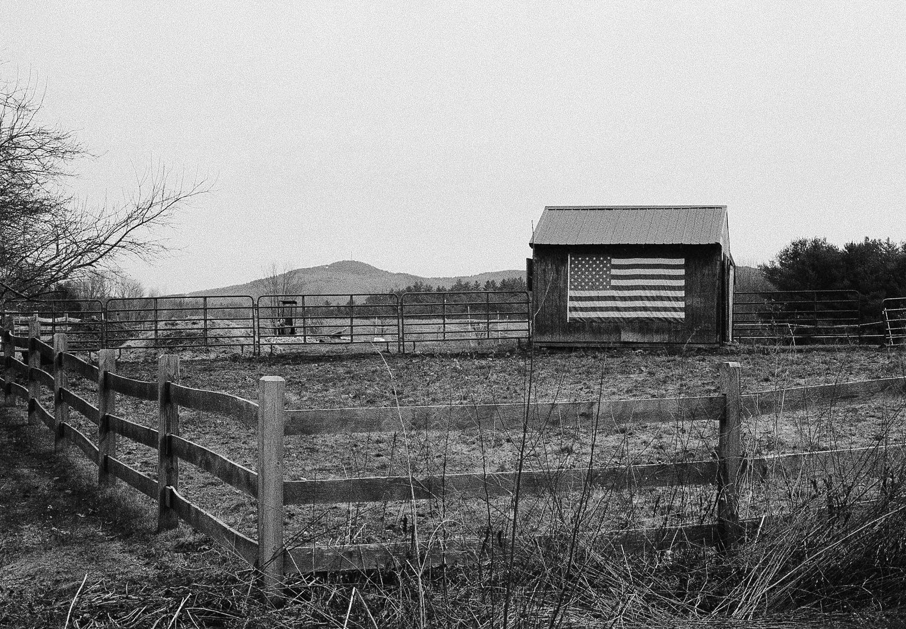 35scans5.13.26_27-Edit.jpg