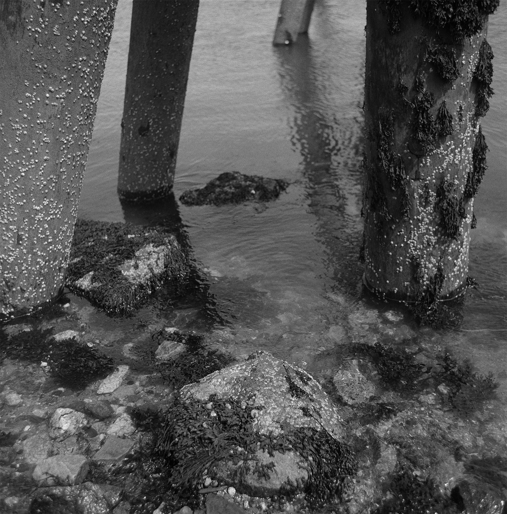 final scan 11 001.jpg