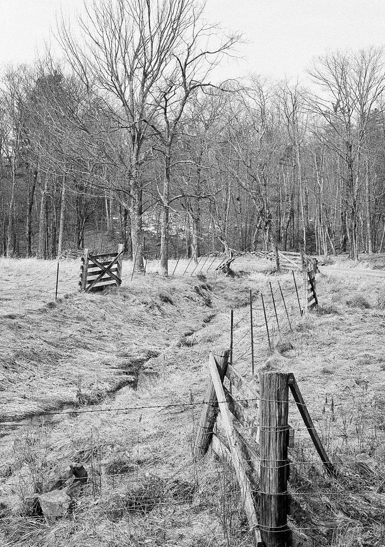 35scans5.13.26_7-Edit.jpg