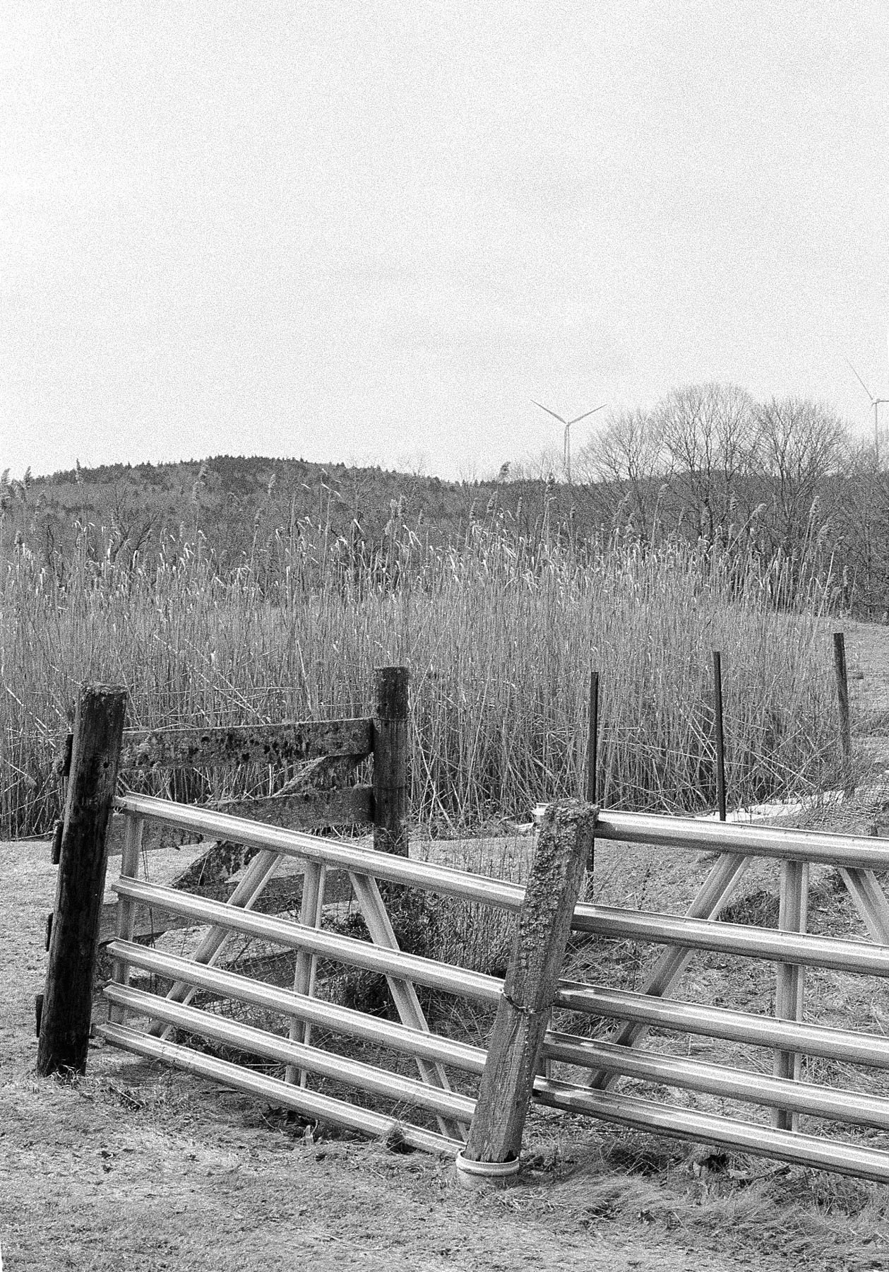 35scans5.13.26_4-Edit.jpg
