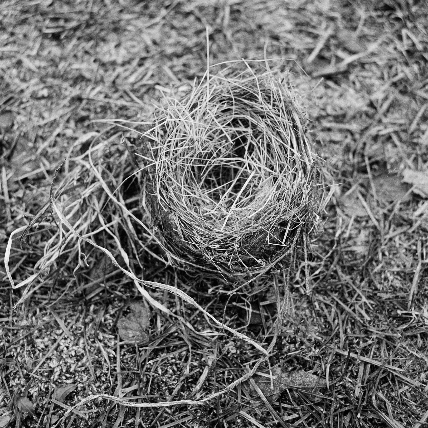 winterbreak26.2_30.2-Edit.jpg