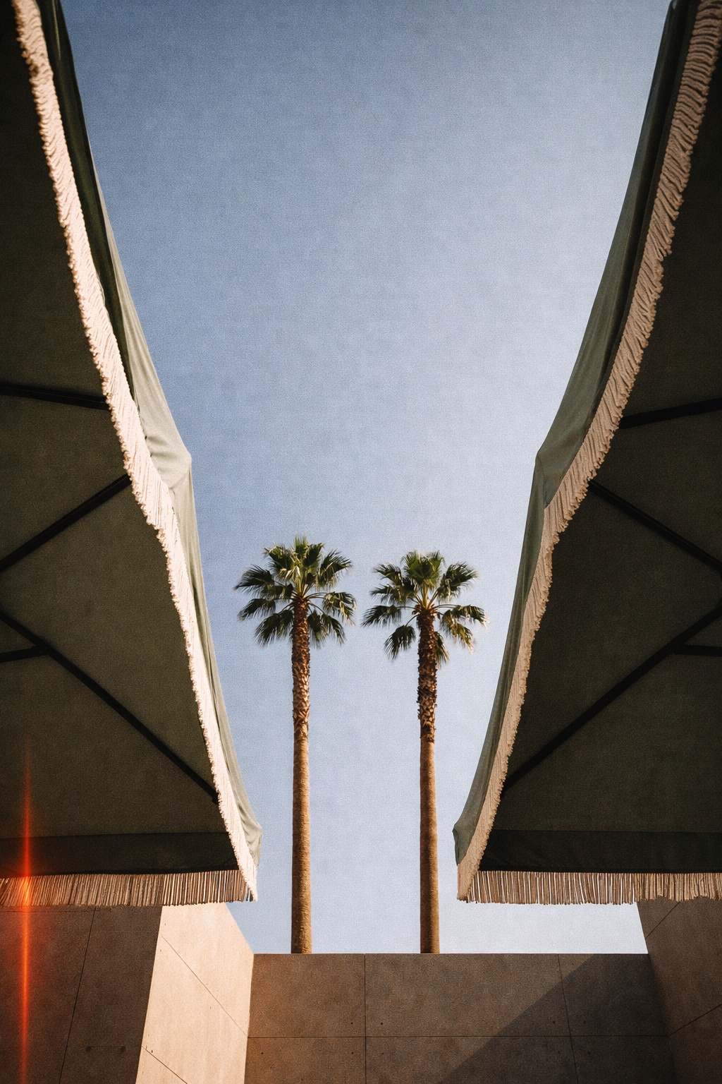 palm tree destination lifestyle aesthetic