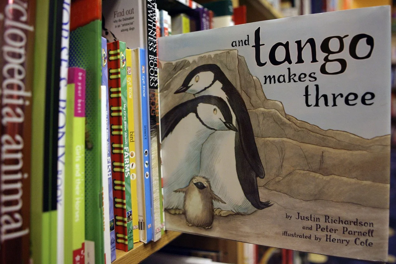 Florida county restoring dozens of books to school libraries after ‘book ban’ lawsuit