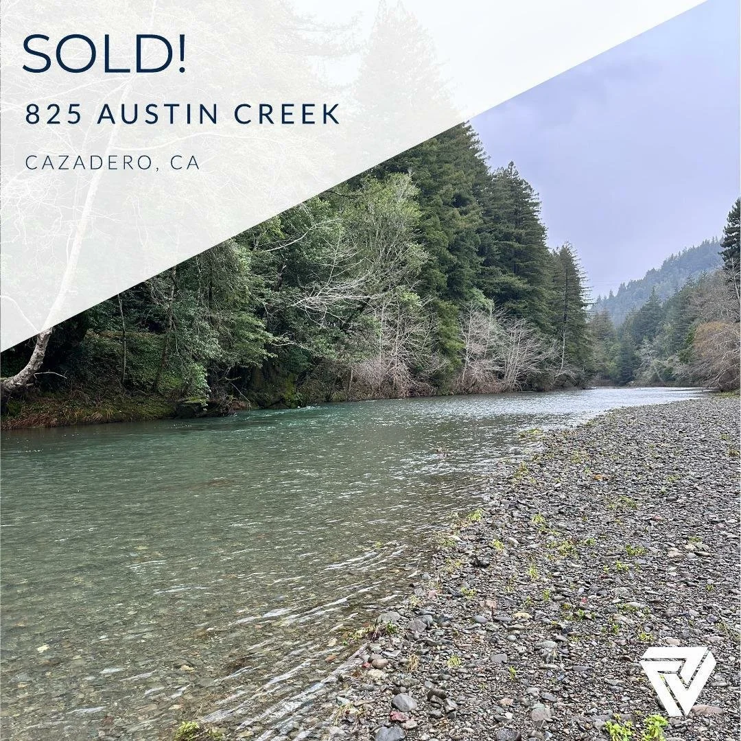 A river flowing through a forested area with trees on both sides and a rocky shoreline in the foreground, overcast sky.