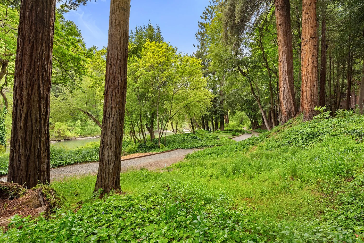 14060 Sosna Way0039 copy.jpg