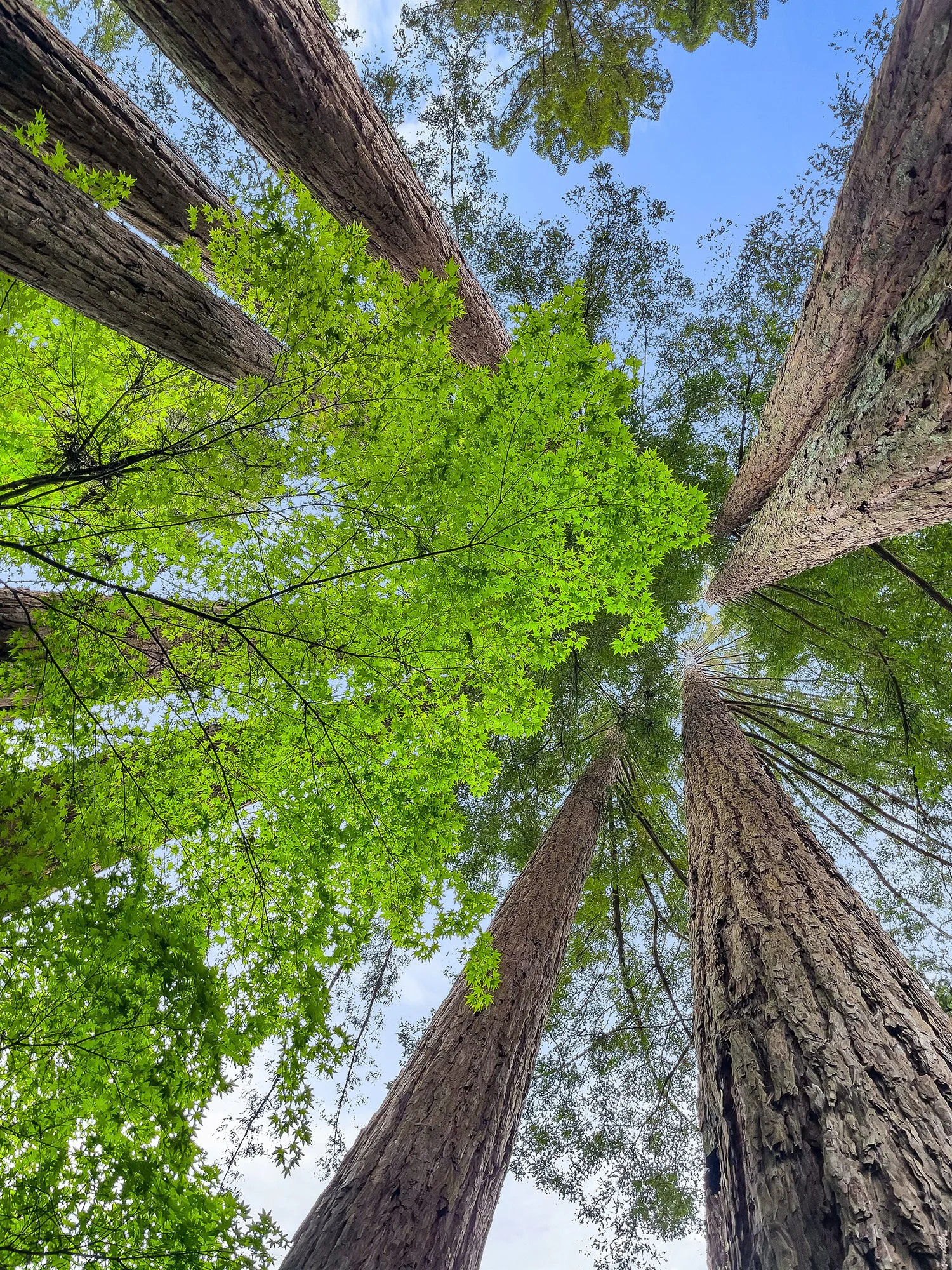 14060 Sosna Way0046 copy.jpg