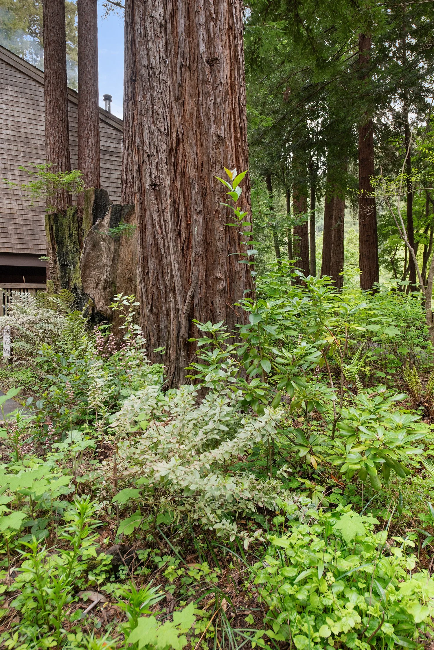 14060 Sosna Way0033 copy.jpg