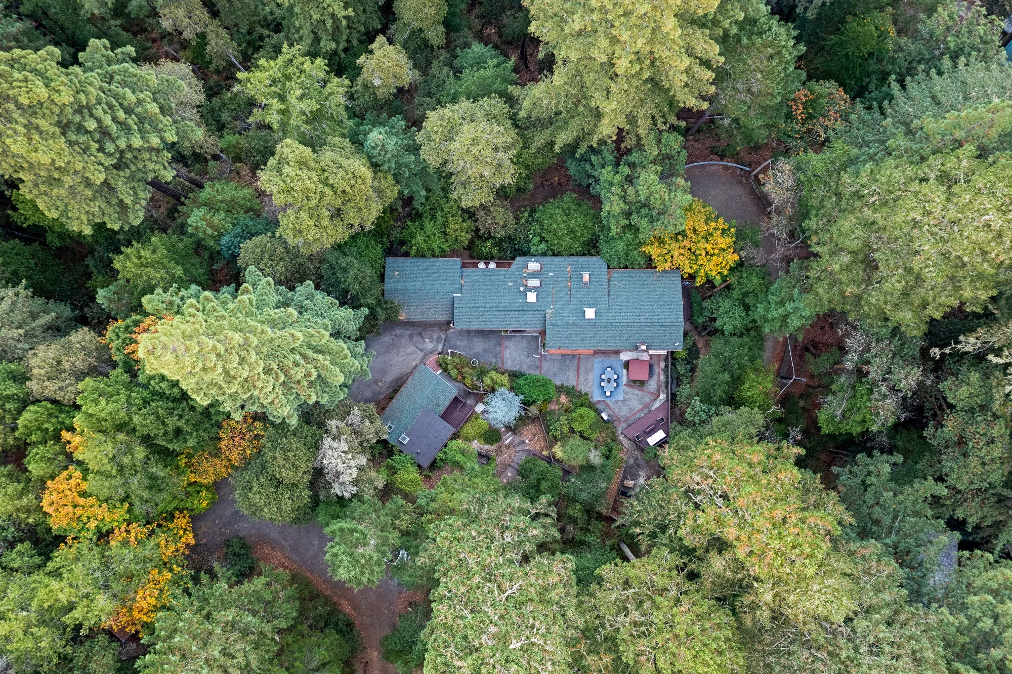 11928 Pine Ridge Rd_MLS (1 of 87).jpg
