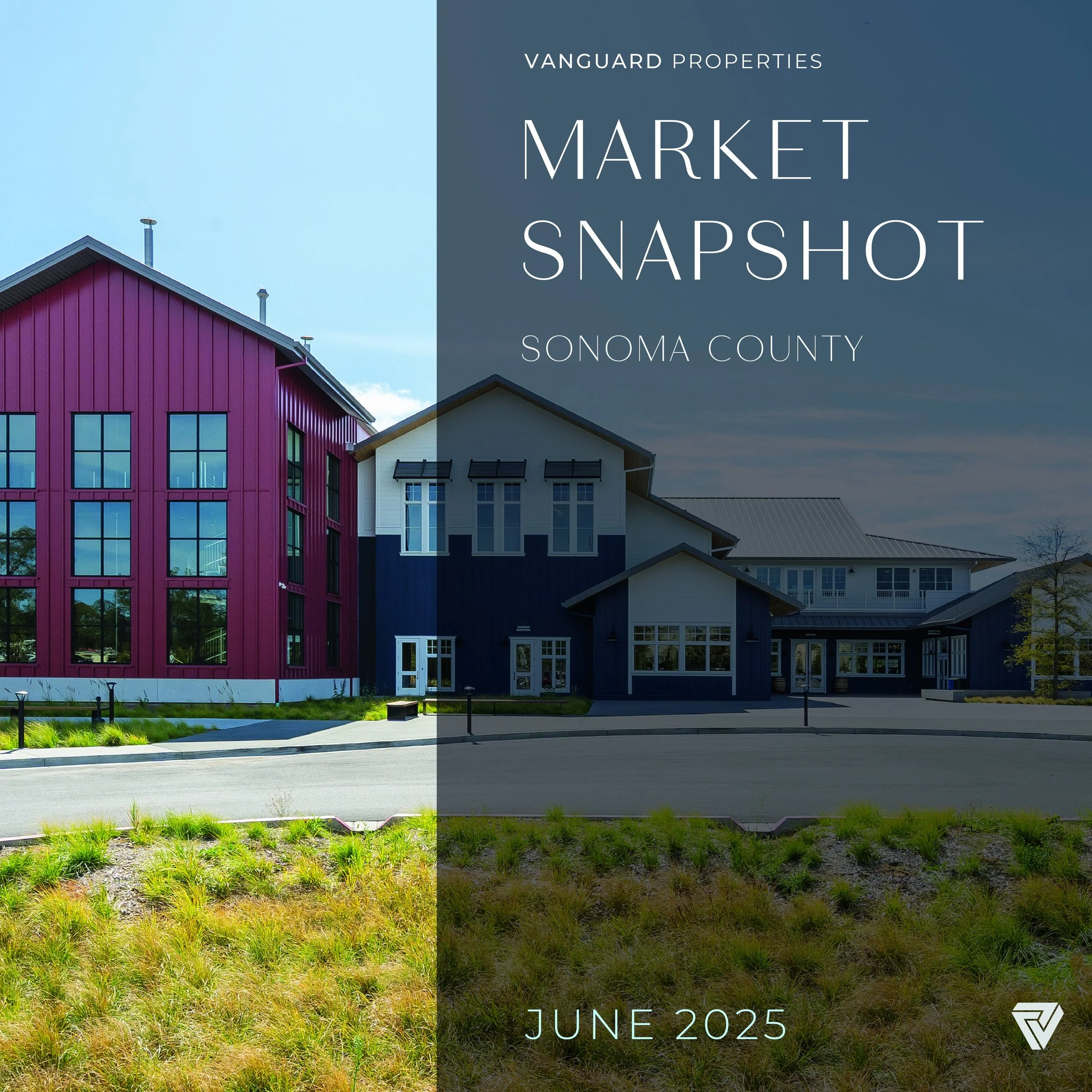 June 2025 Market Update 