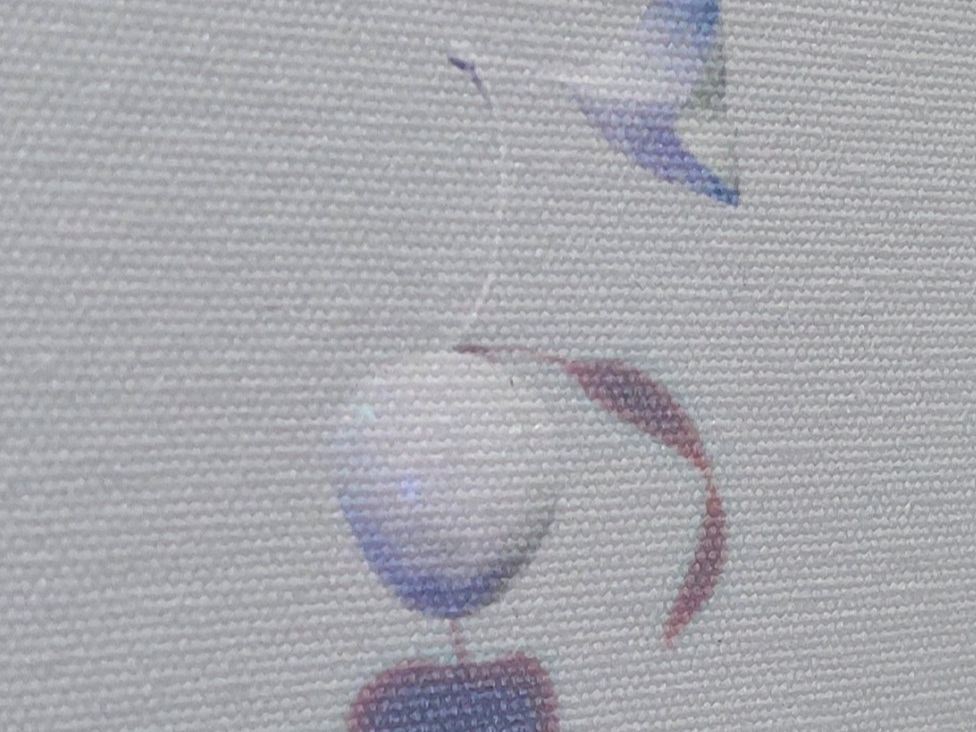 12.png