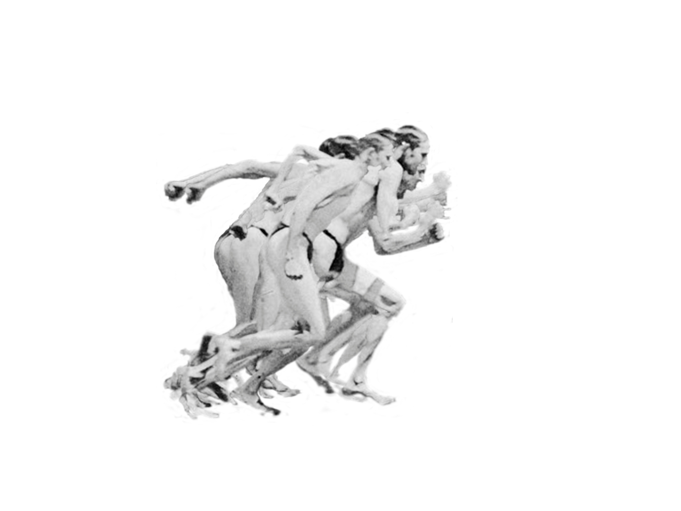 13.png