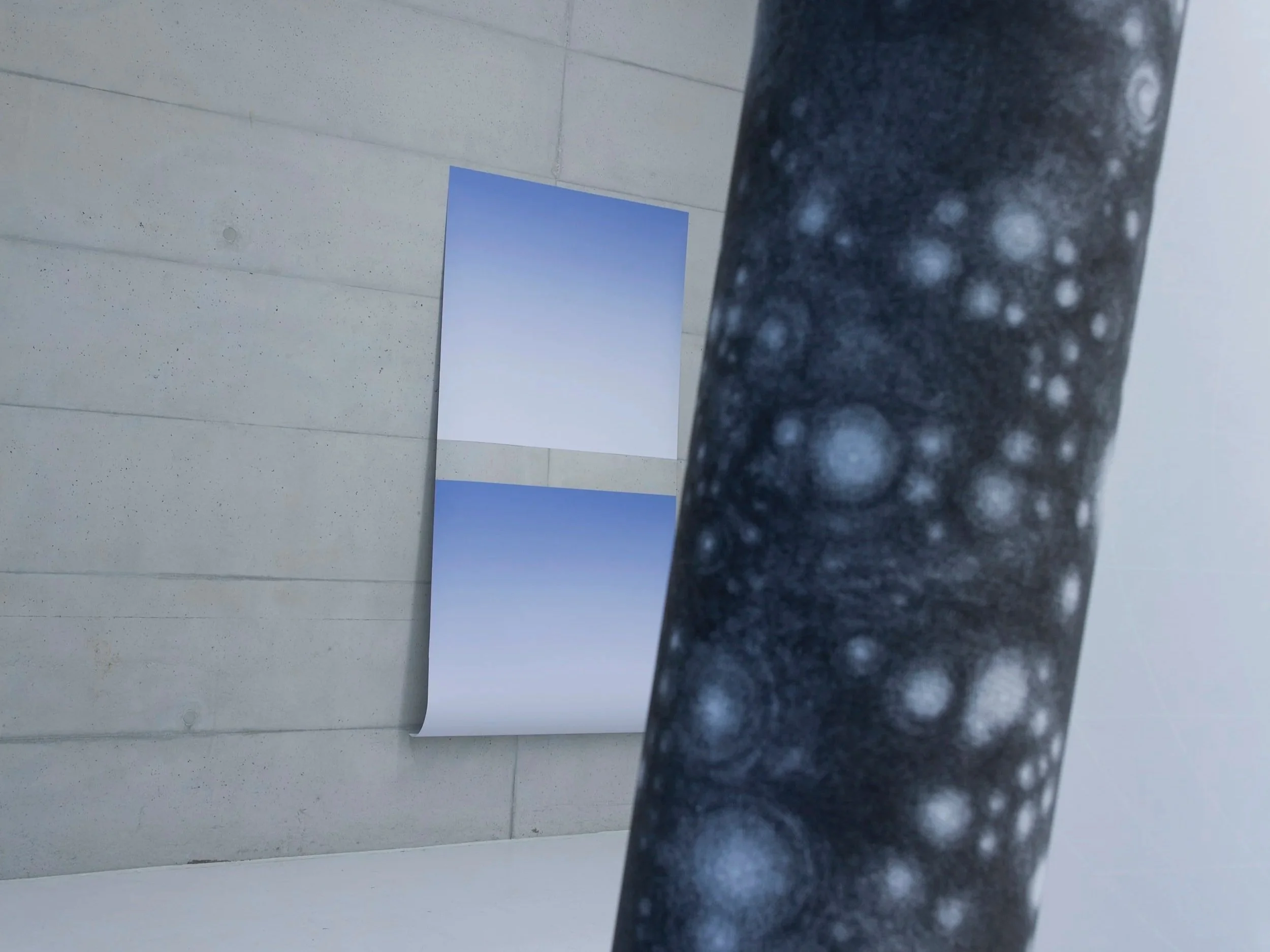 7stars_wall+copy.jpg