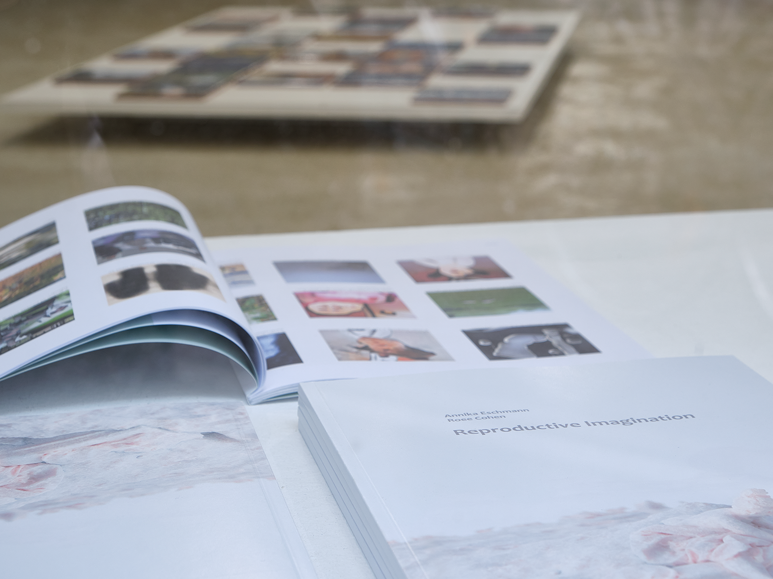 publication_2-copy.png