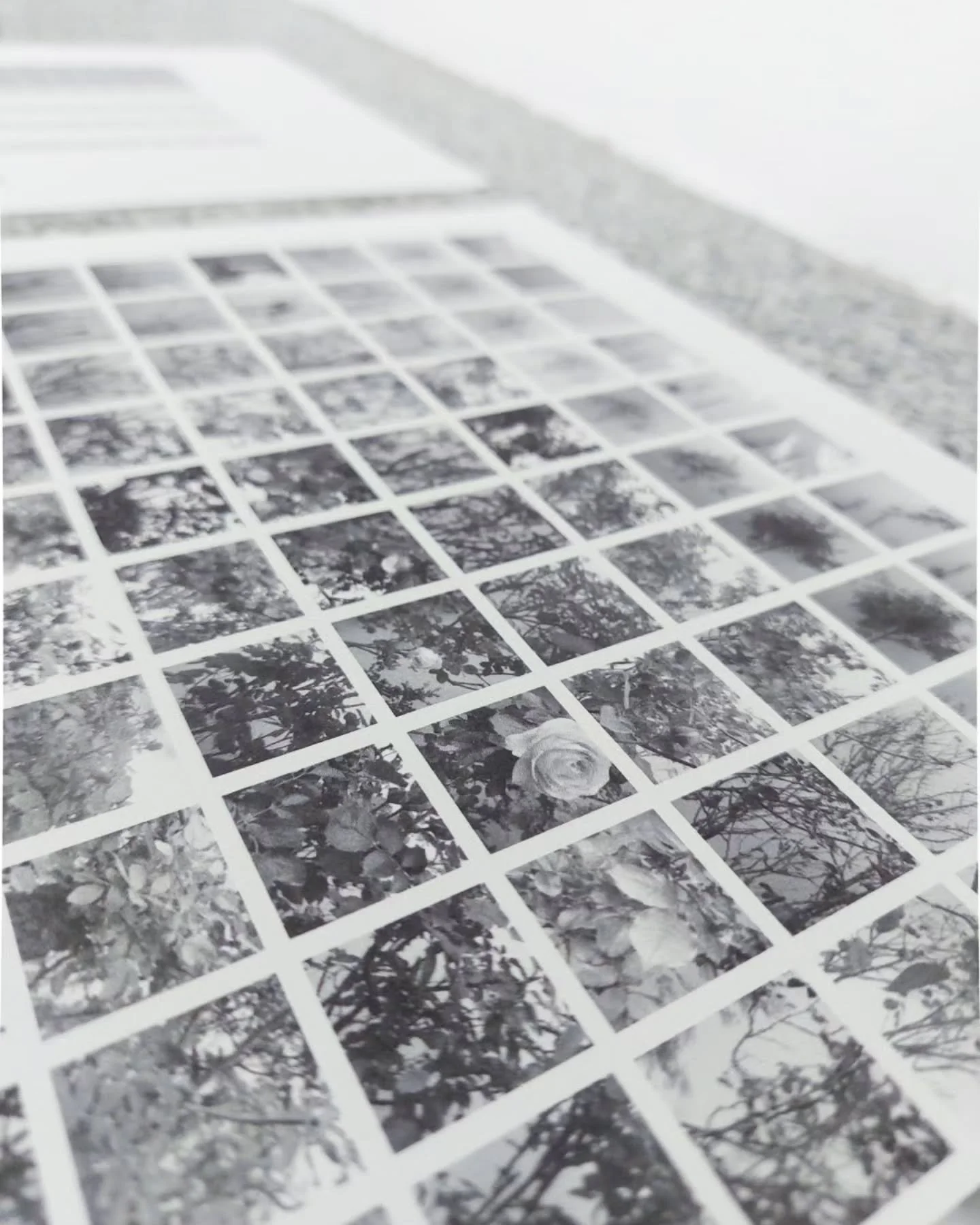 Systemische L&auml;ufe.

with works by Ulrike Donie @ulrikedonie and me
Curated by Claudia-Maria Luenig @claudiamarialuenig
Hosted by @puuul.space / @hannahstippl Stolzenthalergasse, 1080 Vienna

Opening | Friday, November 7, 2025, 7 p.m.
With an int