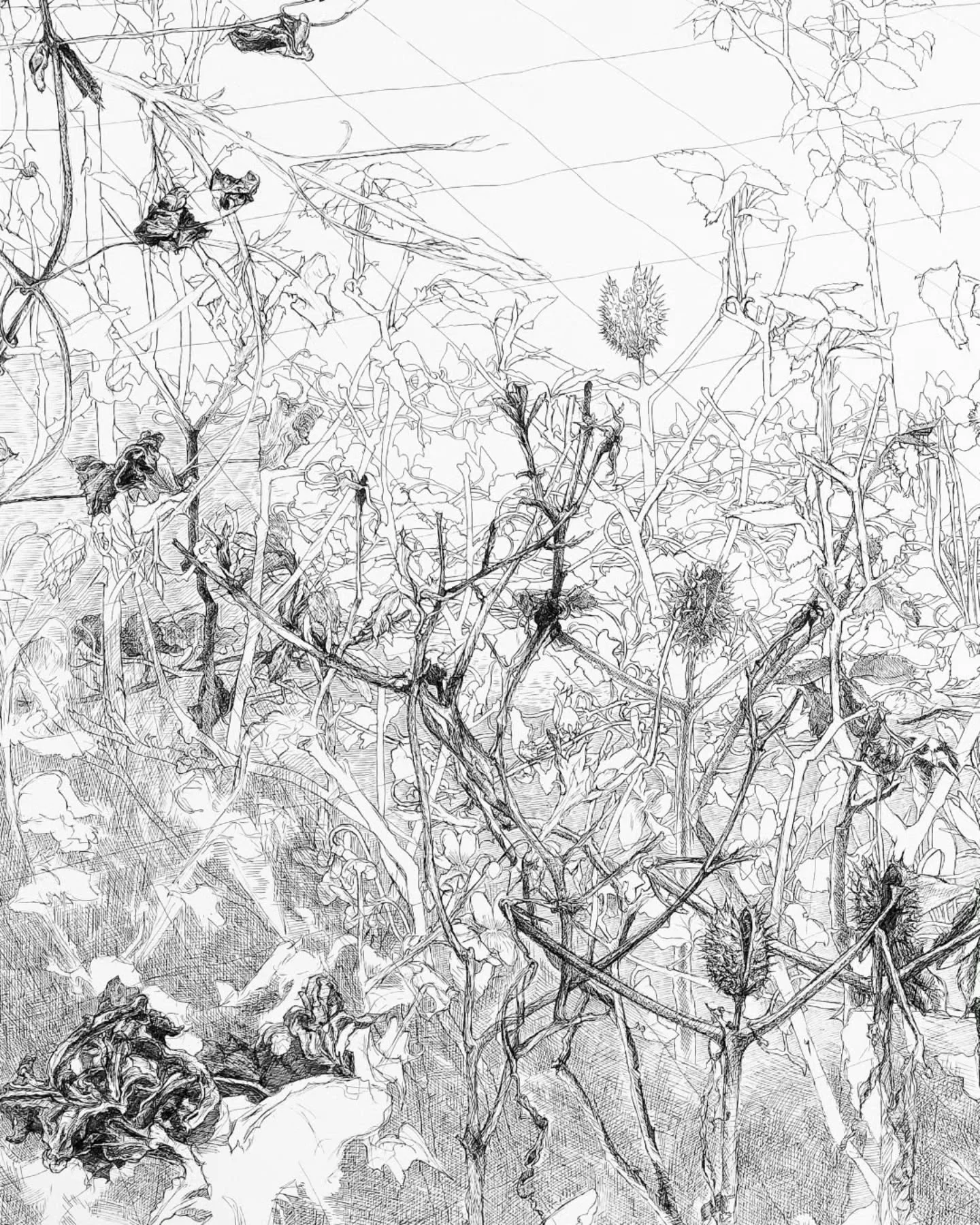Details 

Grow'n Fail 

2017-2020
Gel pen and acrylic spray on paper 
Total size: 110 x 108 cm, drawing on both sides of the paper