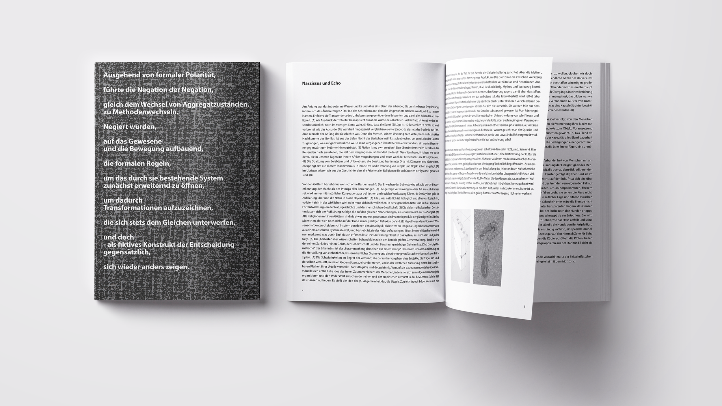 ZINE Narzissus und Echo