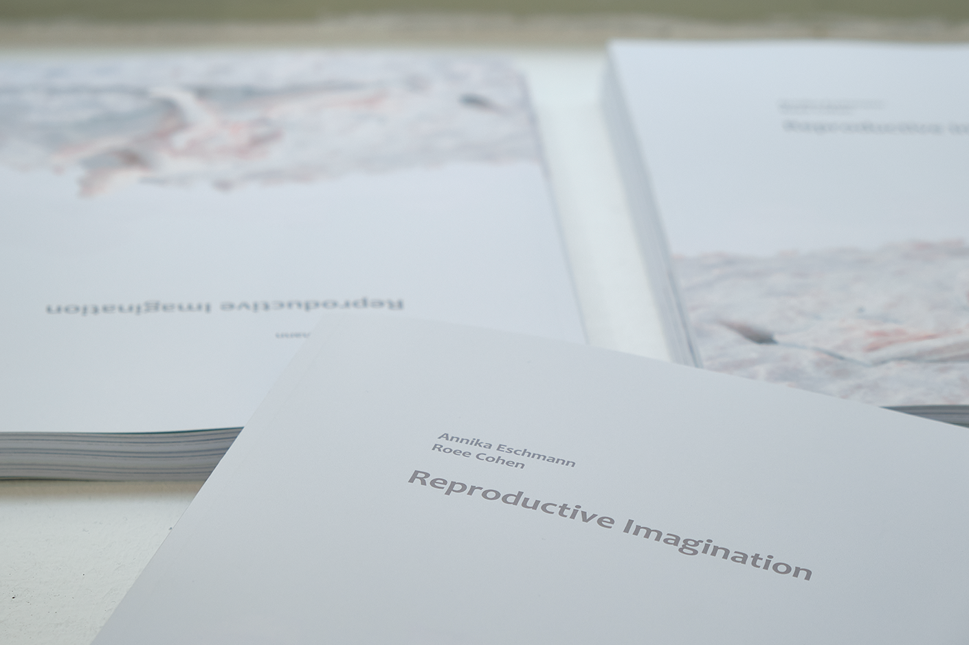 ZINE Reproductive Imagination