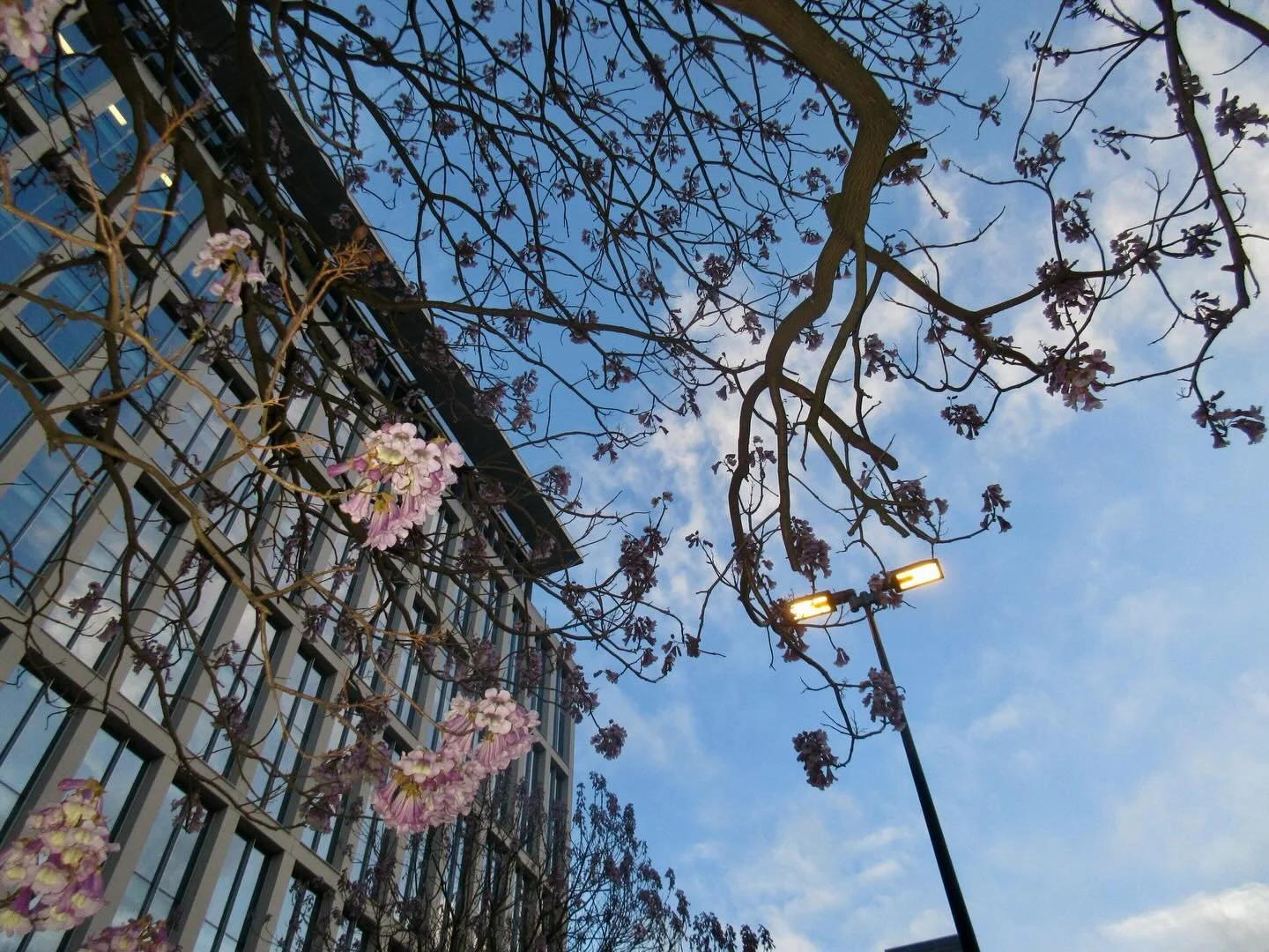 i&rsquo;ve been trying to get outside more since the weather has been getting better. Either drawing or rollerskating so here&rsquo;s some stuff i&rsquo;ve been doing over the past week or two ✨