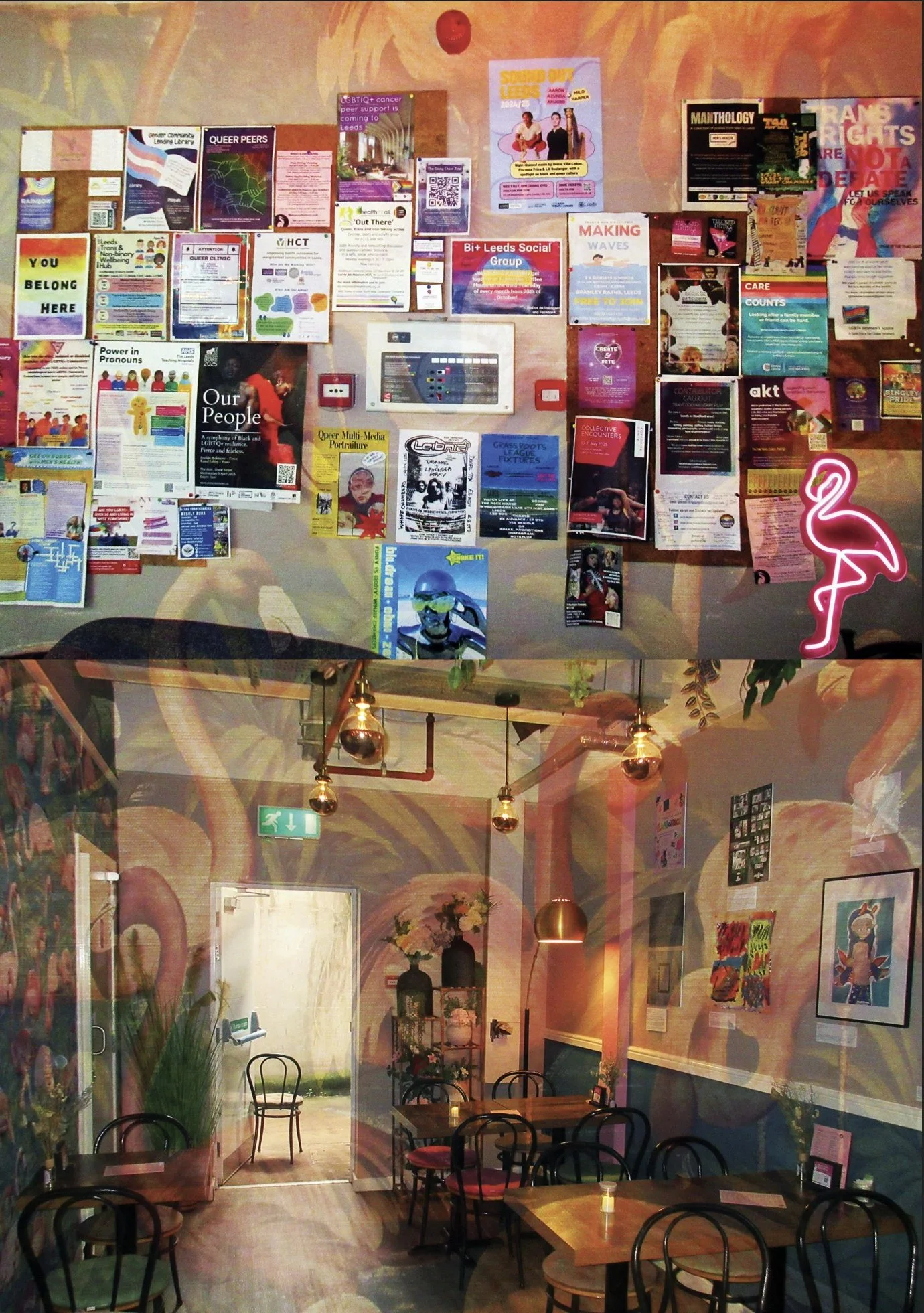 Screenshot 2026-02-19 021825.jpg