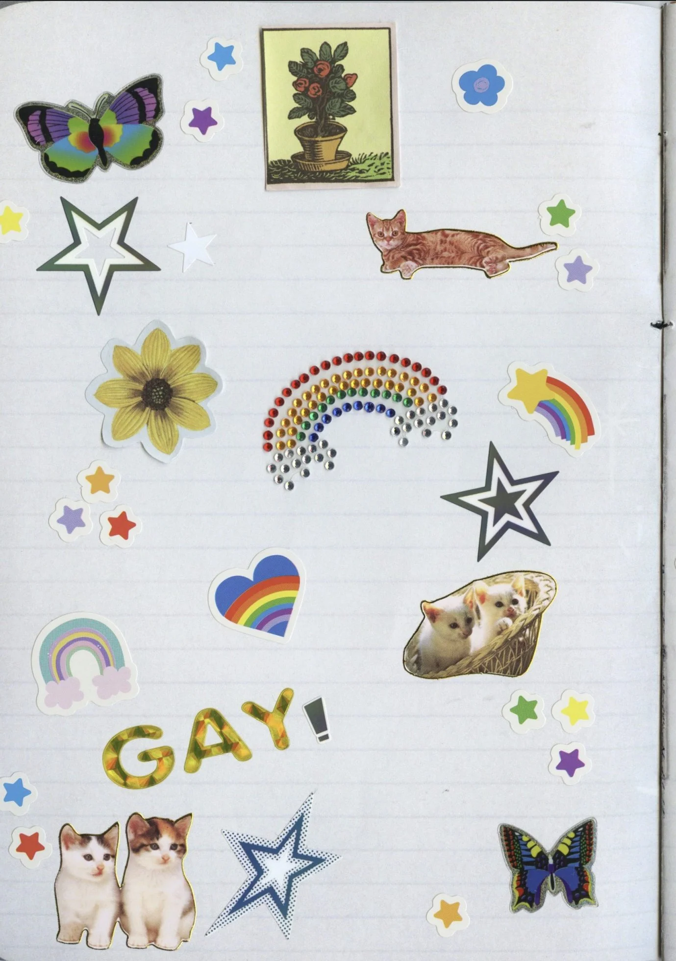 Screenshot 2026-02-19 021714.jpg