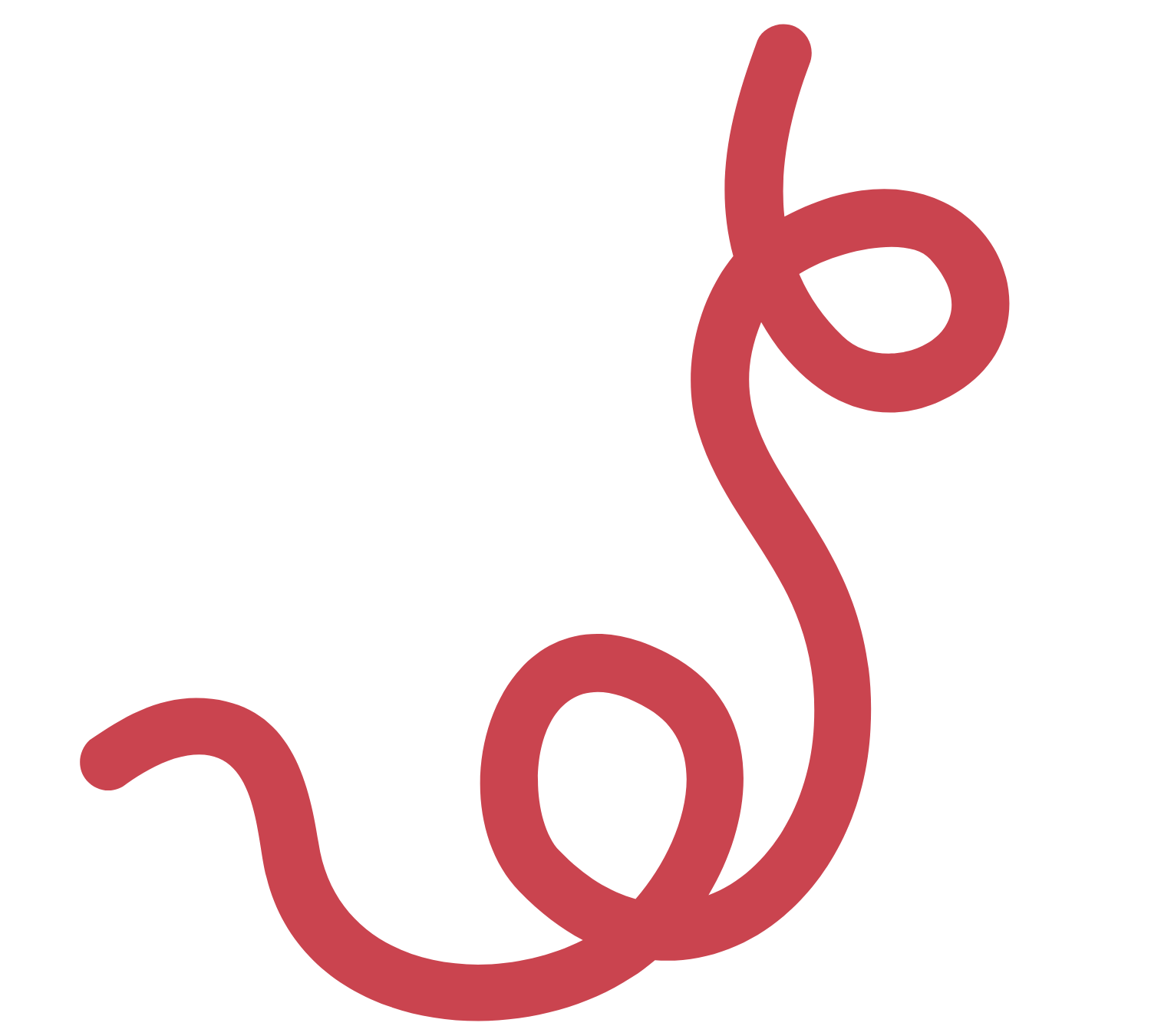 Illustration of a red, simplified, stylized sperm cell with a long tail and circular head.