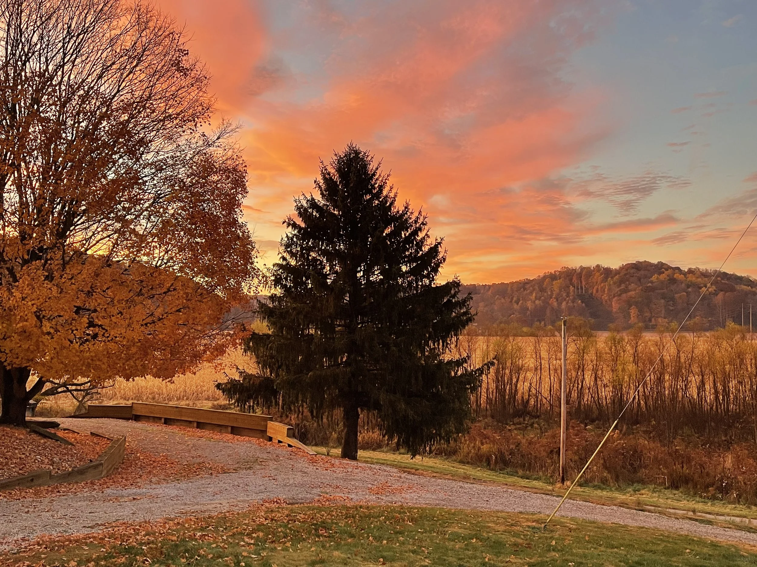 A serene autumn scene at sunset with colorful orange, yellow, and red leaves on trees and scattered on the ground, a gravel path, a hill in the background, and utility poles with wires against a sky filled with pink and orange clouds.