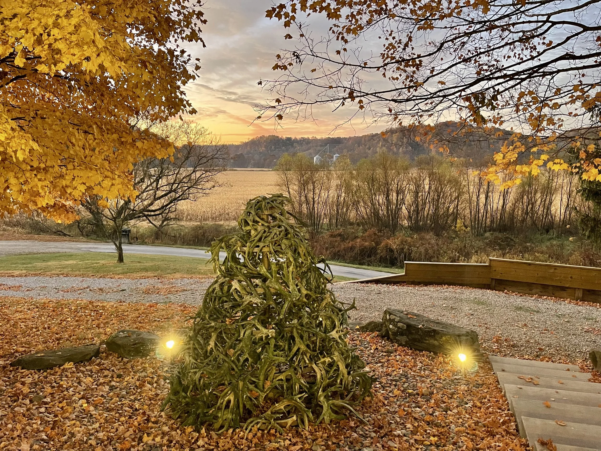 A yard with a gravel pathway, surrounded by fallen leaves, seasonal trees with yellow and orange leaves, and an illuminated plant sculpture in the foreground during sunset, with distant hills and fields in the background.