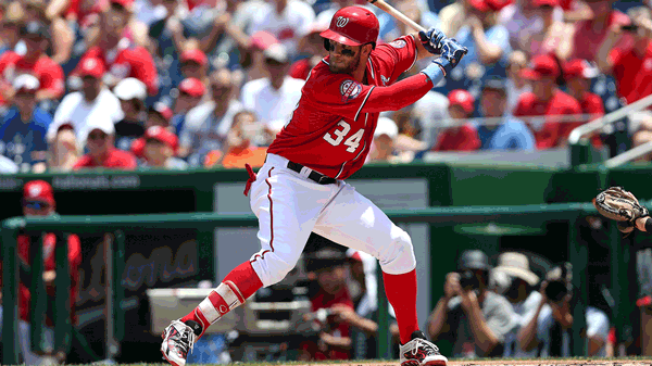 Harper GIF.gif