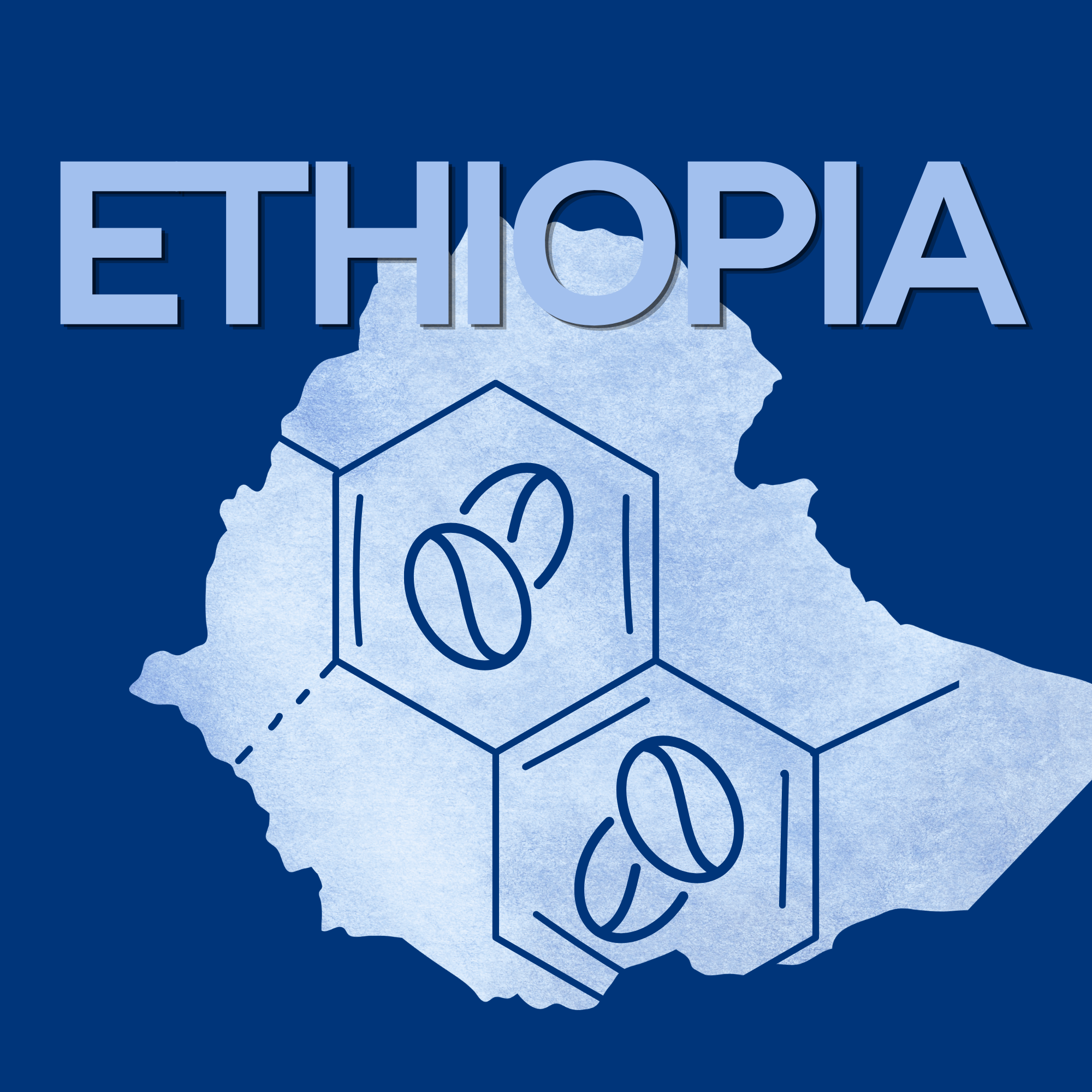 Ethiopian Bean - 16oz