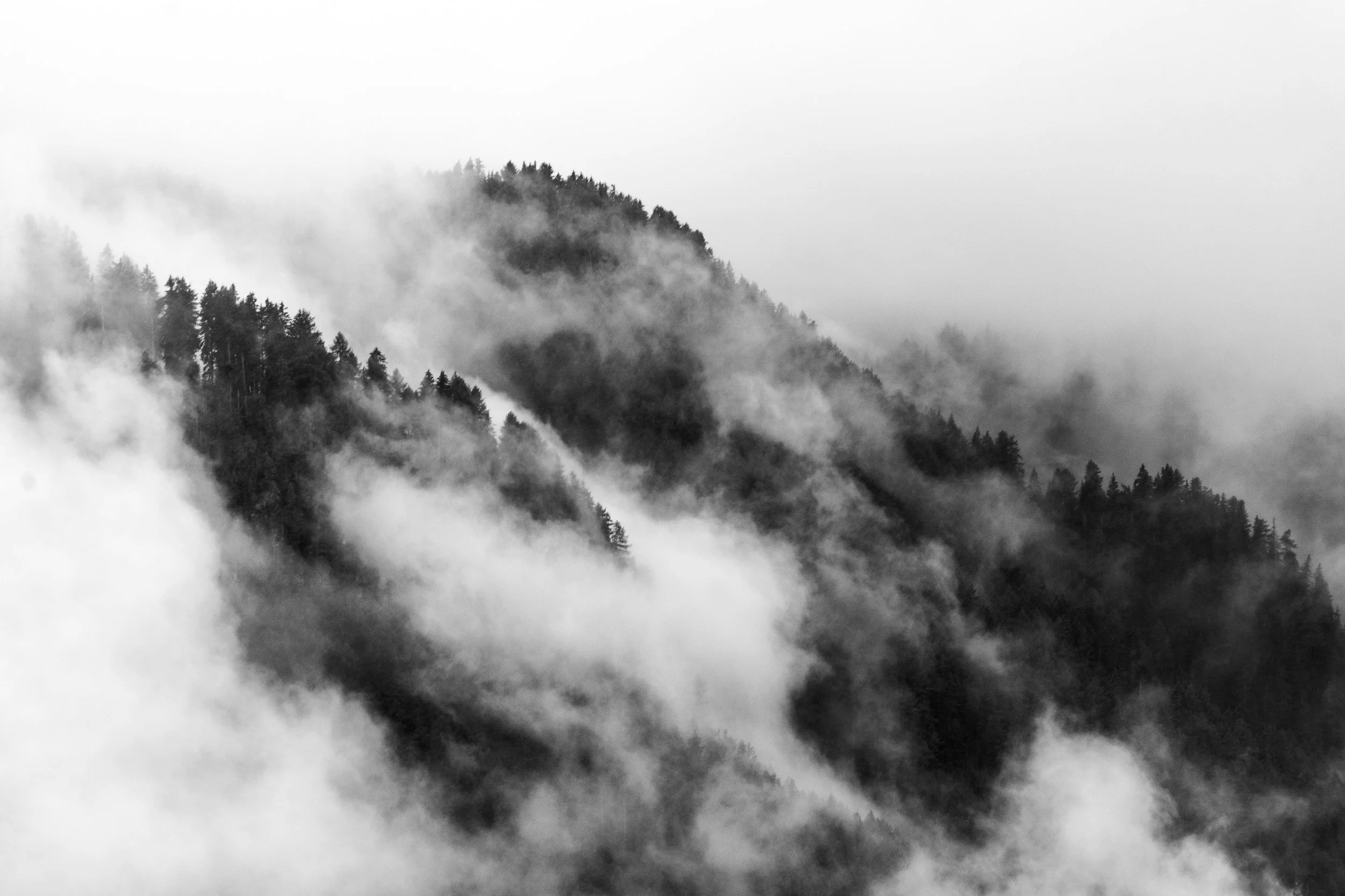 Black and white photograph of a foggy, mountainous landscape with dense forested slopes.