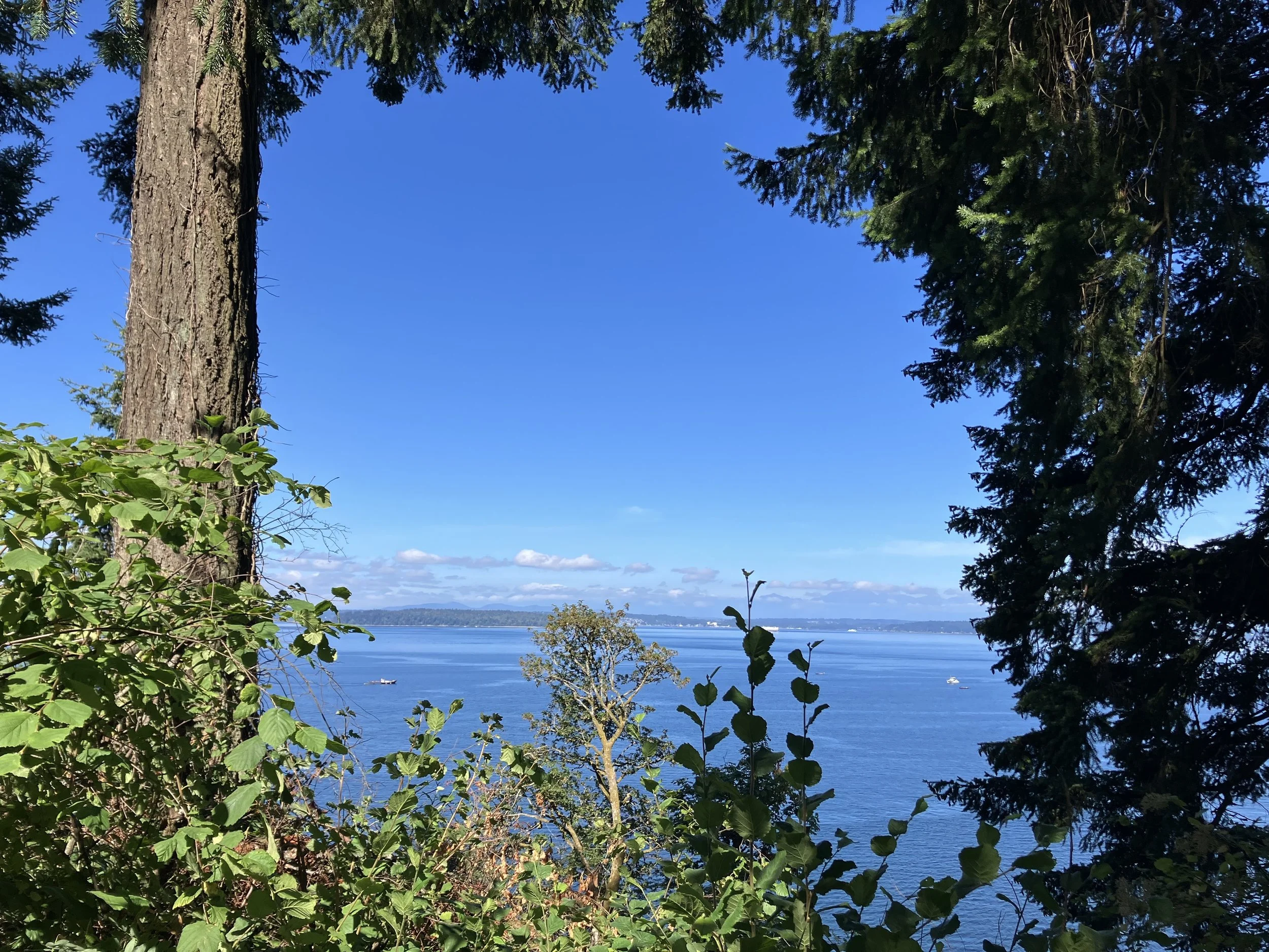 A scenic view of a large body of water, framed by green trees and foliage, with a bright blue sky and a few clouds.
