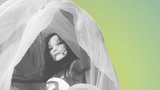 Björk Web Shop Concept