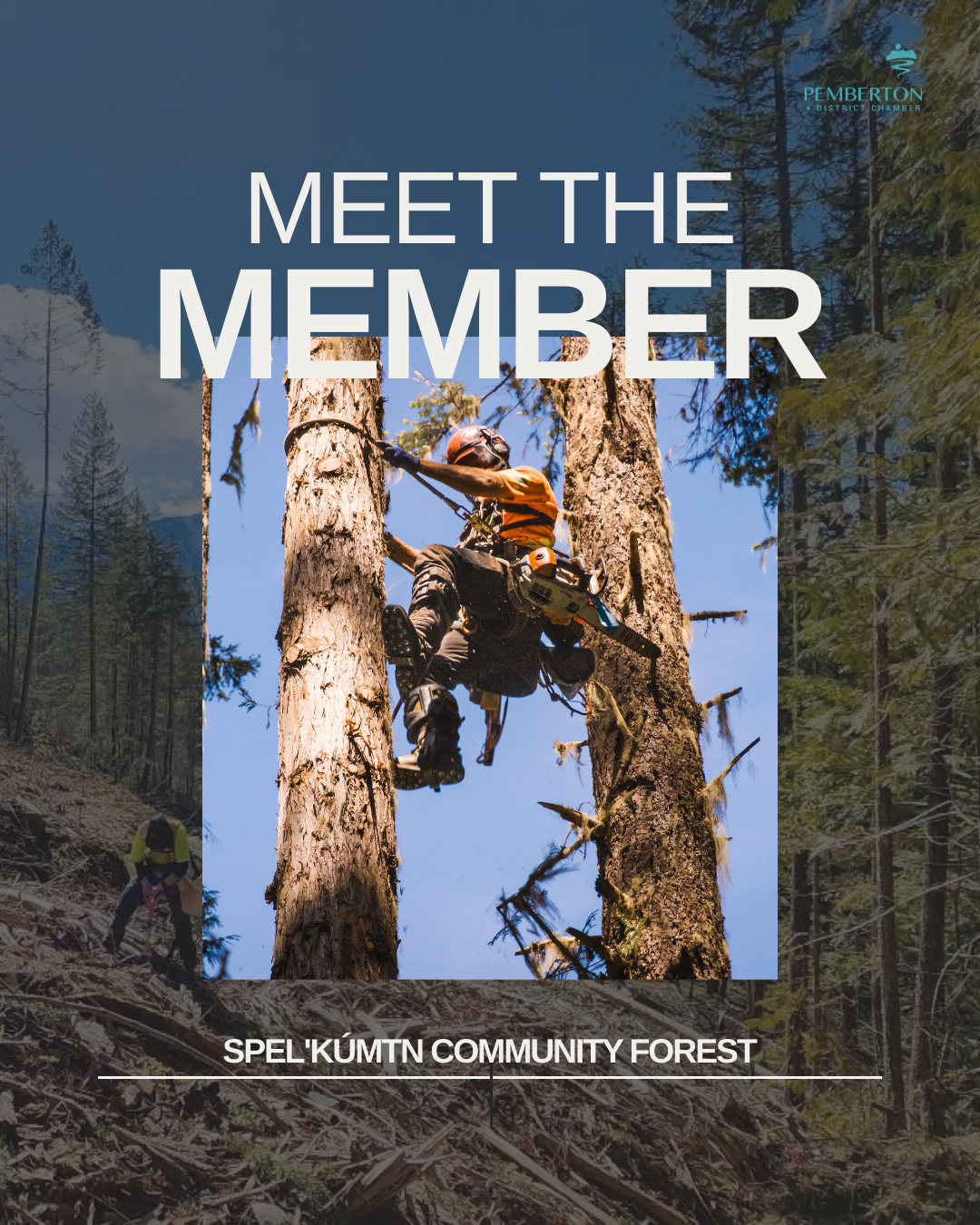 A one of a kind organization: Speĺkúmtn Community Forest
