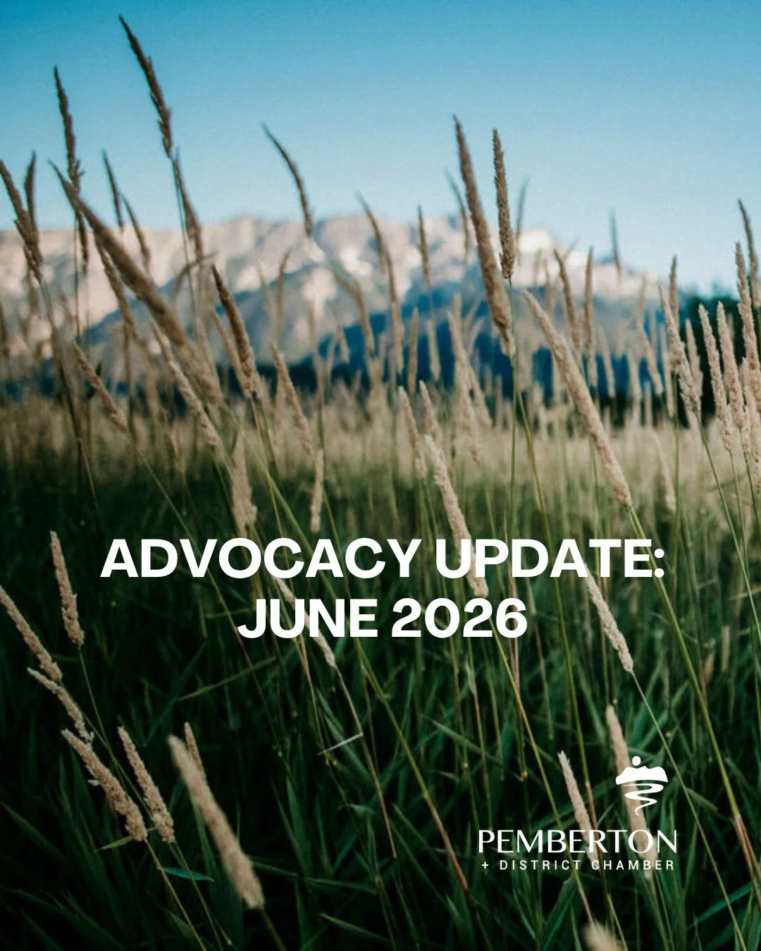 We're pleased to share a positive outcome for Pemberton's event industry.

Earlier this year, concerns were raised after a local event venue was shut down due to an interpretation of a 2016 bylaw affecting events on agricultural land. The issue creat