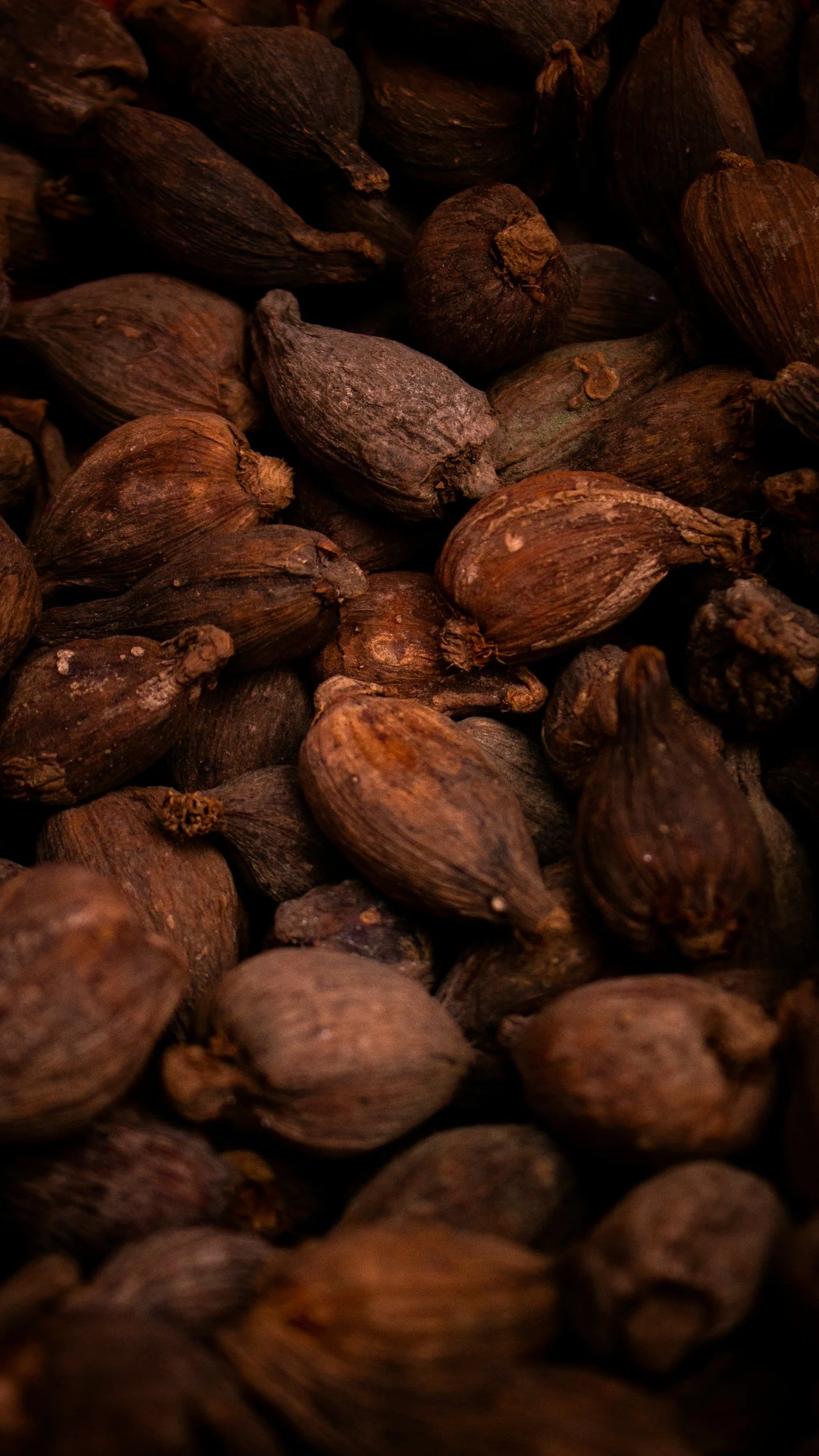 Cacao puro
