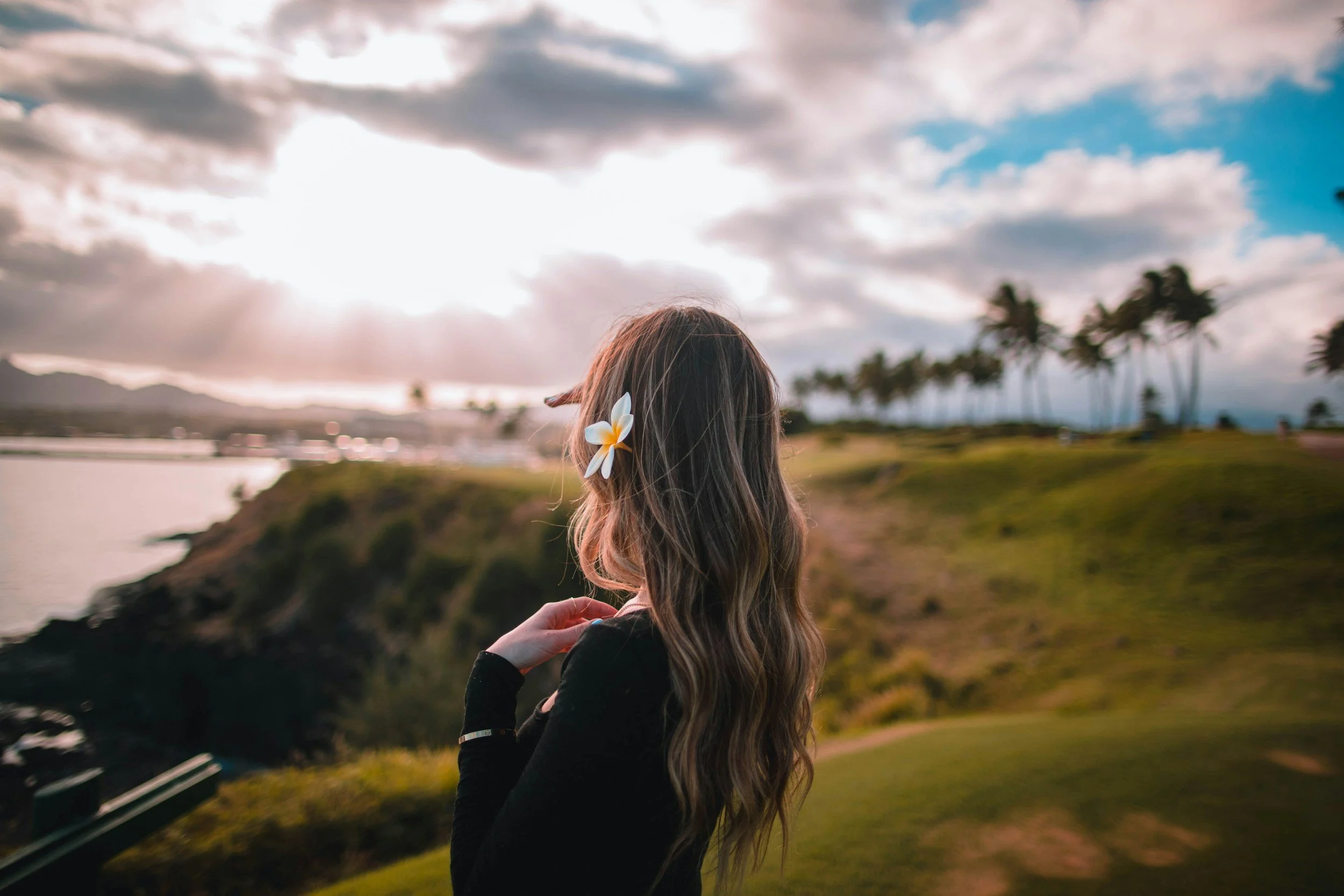 The 12 Laws of Life: A Guide to Living with Greater Awareness