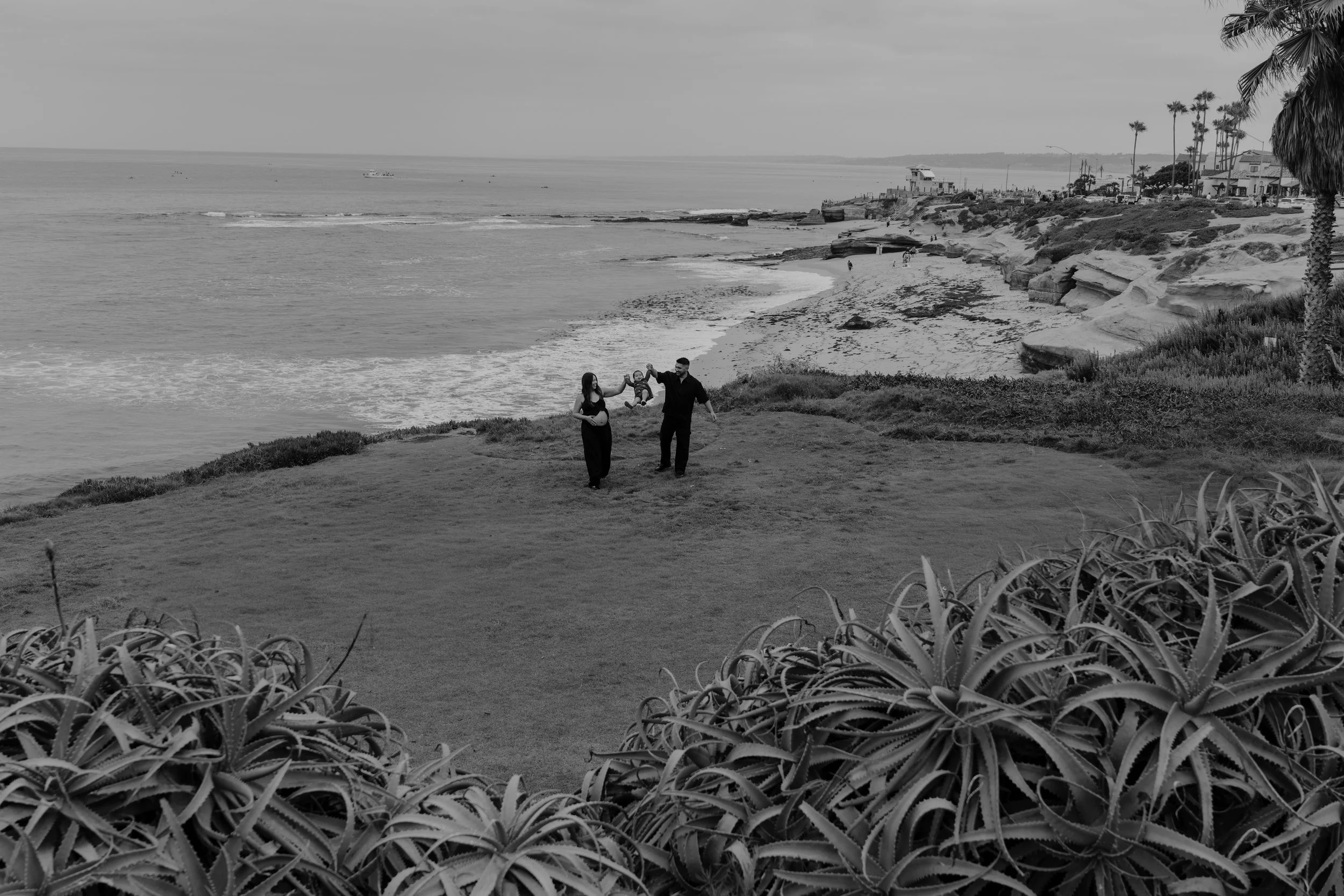 A family of three walking on a grassy hill overlooking an ocean beach. The family is holding hands, with the child in the middle. The beach has rocky cliffs and is lined with houses and palm trees in the background.