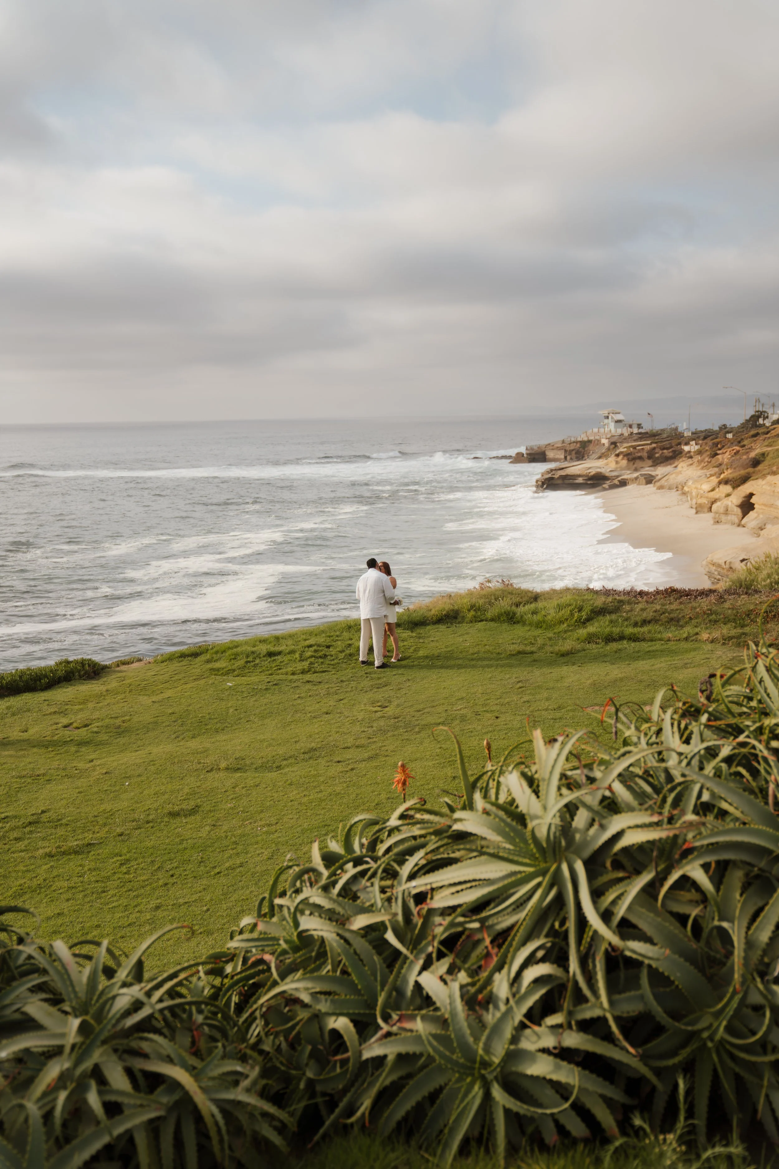 A couple stands close together on a grassy area near the ocean, with rocks and buildings on the coast in the background under cloudy sky.