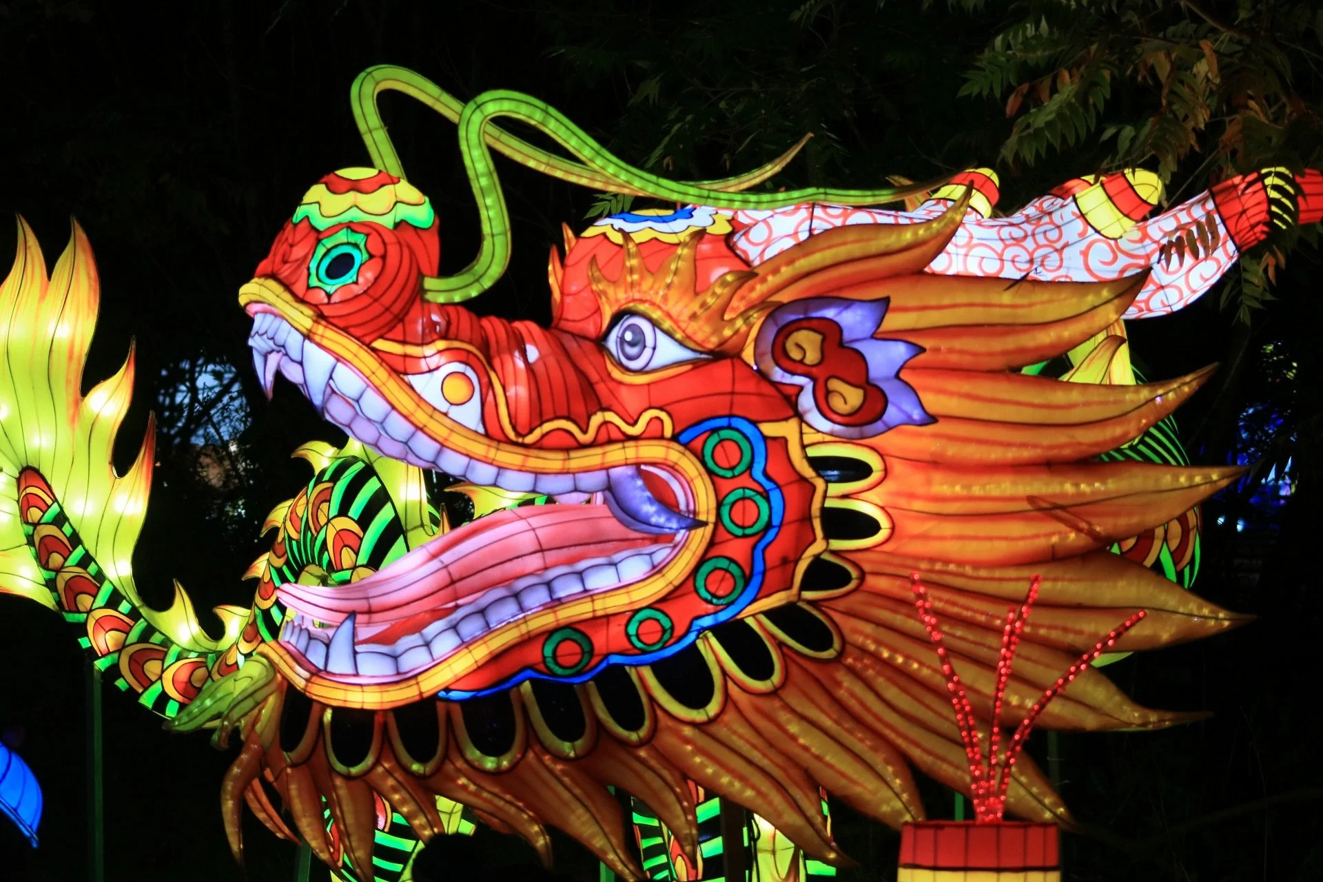 Wildglow Festival in Peoria Zoo