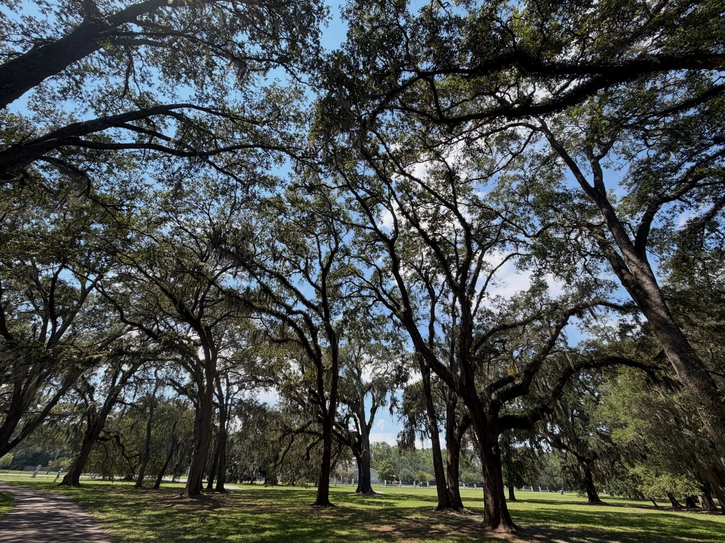 Some pretty cool views lately #artist #scenesandsketches #i<3florida #momanddad #dateday