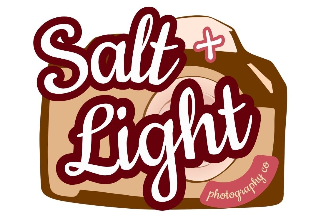 Salt + Light Photography Co - Hand Painted Logo