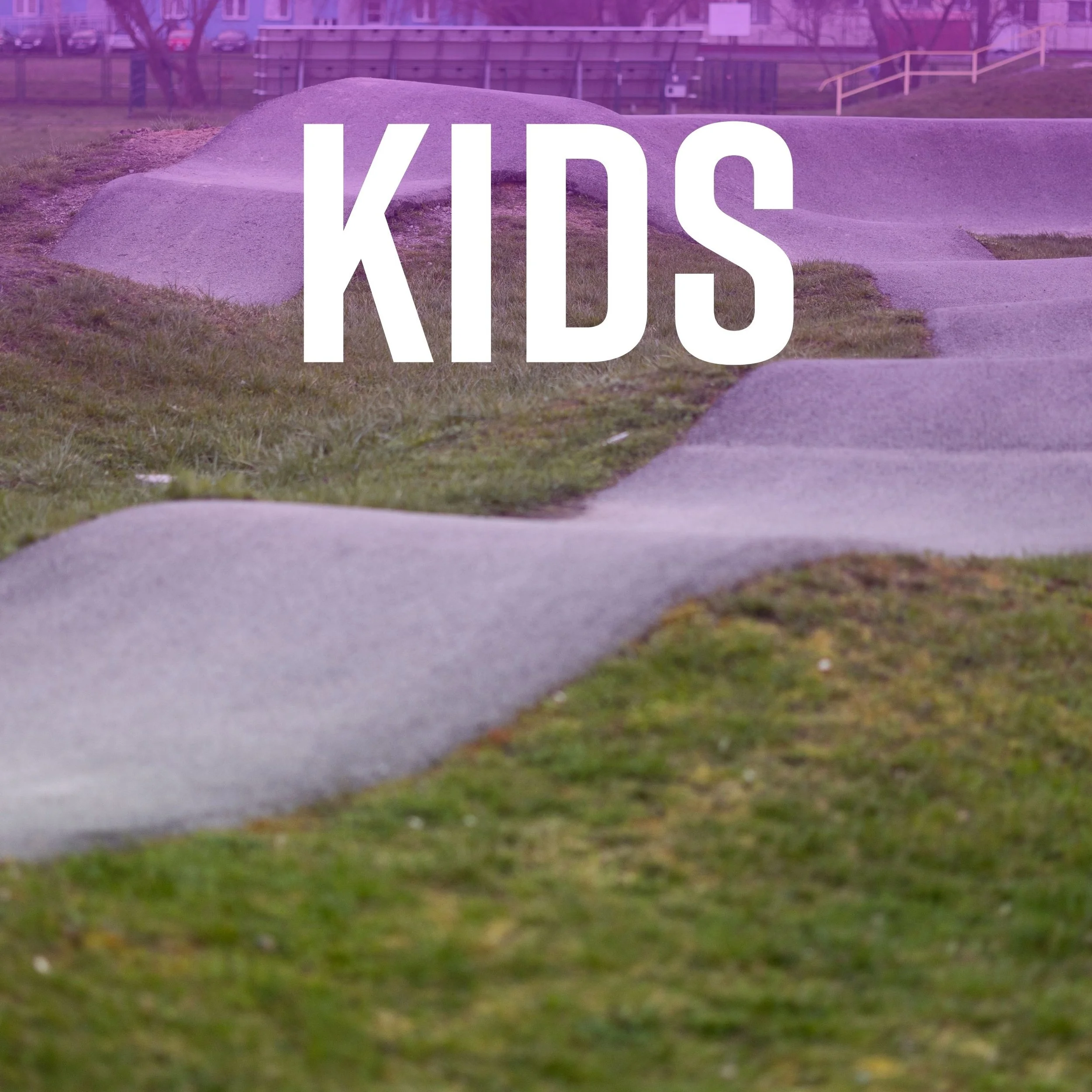 A small mound of dirt in a grassy park area with a sports or skateboarding ramp in the background, surrounded by a chain link fence and trees.